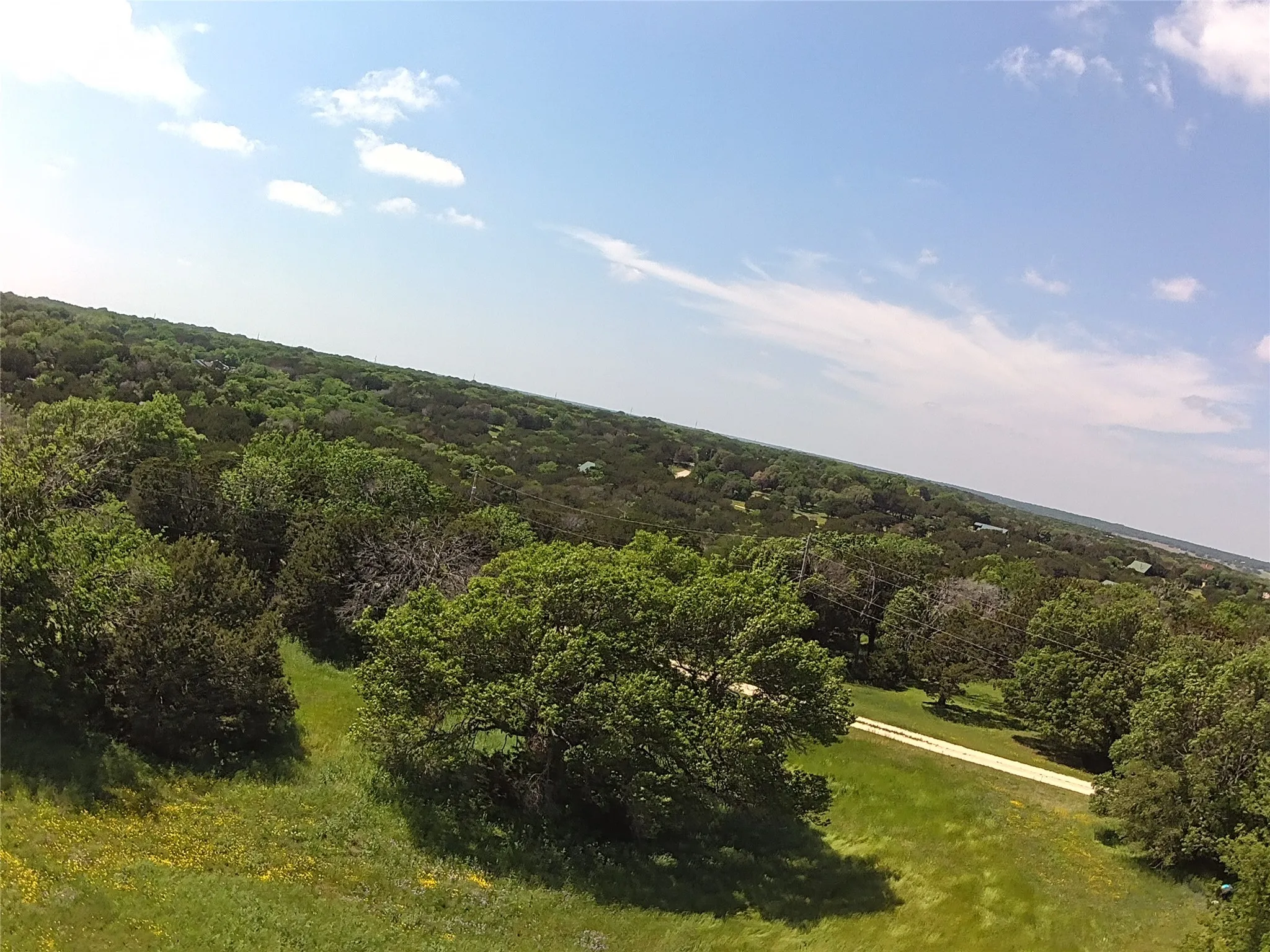 Expansive natural landscape with lush green foliage and mature trees, featuring a distinct, winding dirt path