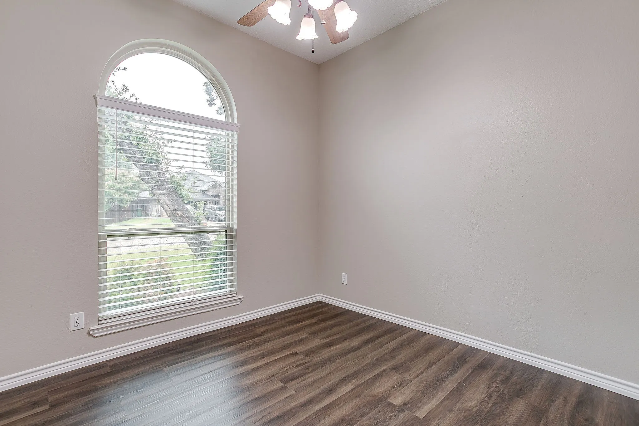 Arch-top window with blinds, wood-finish flooring, and a ceiling fan with light fixture