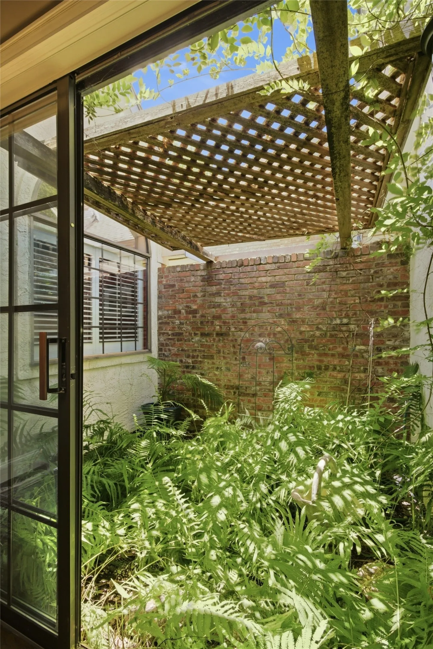 Courtyard with gorgeous ferns!