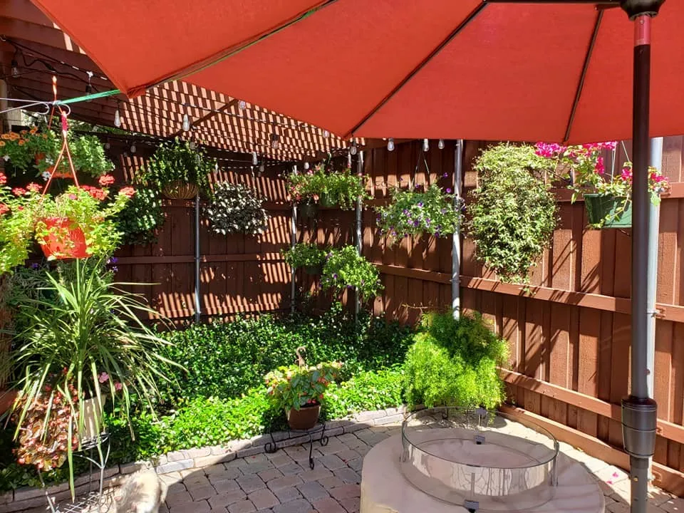 Enclosed Patio shown when accessorized with plants.
