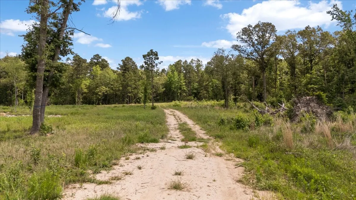 Improved Land For Sale in Wood County , 630 3953, Hawkins, Texas 75765, 0, 0, Garage spaces, 0 Sqft, built in 0, mls#21408218, Real Estate Agent in Hawkins, Homes For Sale in Wood county, Homes For Sale in Hawkins, Realtor in Hawkins Texas, Real Estate Brokerage Independent Realty Texas, Luminita Cordes Realtor