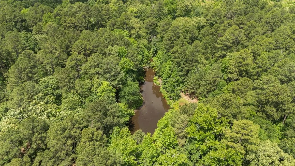 Improved Land For Sale in Wood County , 630 3953, Hawkins, Texas 75765, 0, 0, Garage spaces, 0 Sqft, built in 0, mls#21408218, Real Estate Agent in Hawkins, Homes For Sale in Wood county, Homes For Sale in Hawkins, Realtor in Hawkins Texas, Real Estate Brokerage Independent Realty Texas, Luminita Cordes Realtor