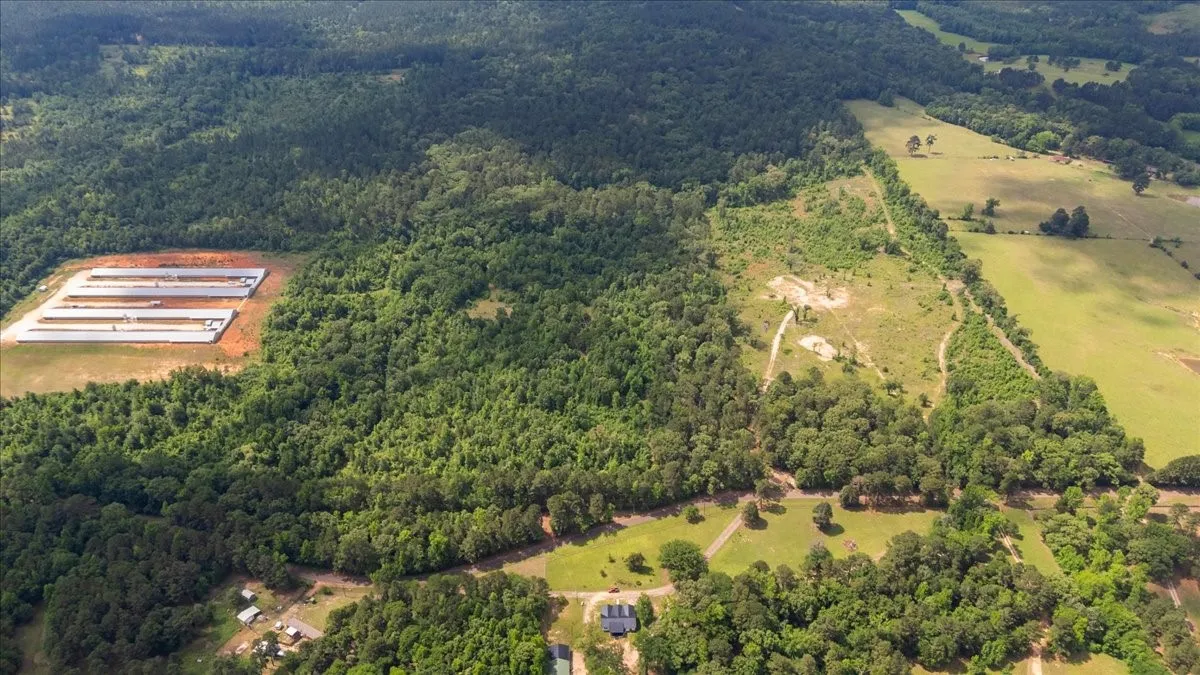 Improved Land For Sale in Wood County , 630 3953, Hawkins, Texas 75765, 0, 0, Garage spaces, 0 Sqft, built in 0, mls#21408218, Real Estate Agent in Hawkins, Homes For Sale in Wood county, Homes For Sale in Hawkins, Realtor in Hawkins Texas, Real Estate Brokerage Independent Realty Texas, Luminita Cordes Realtor