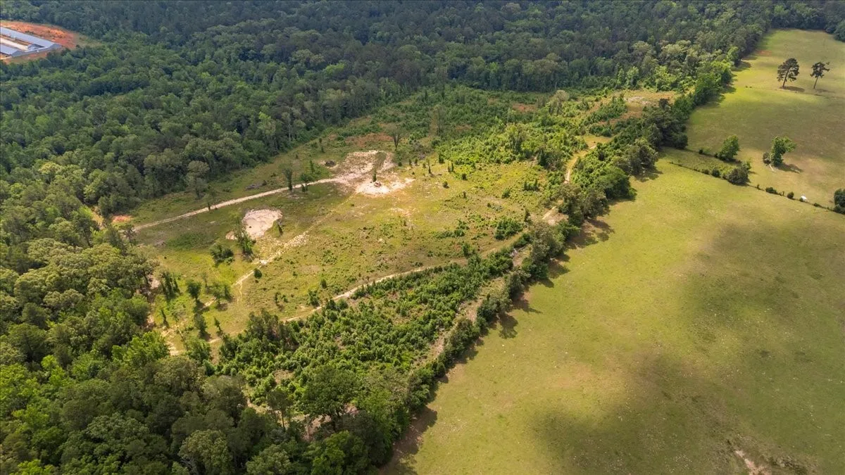 Improved Land For Sale in Wood County , 630 3953, Hawkins, Texas 75765, 0, 0, Garage spaces, 0 Sqft, built in 0, mls#21408218, Real Estate Agent in Hawkins, Homes For Sale in Wood county, Homes For Sale in Hawkins, Realtor in Hawkins Texas, Real Estate Brokerage Independent Realty Texas, Luminita Cordes Realtor