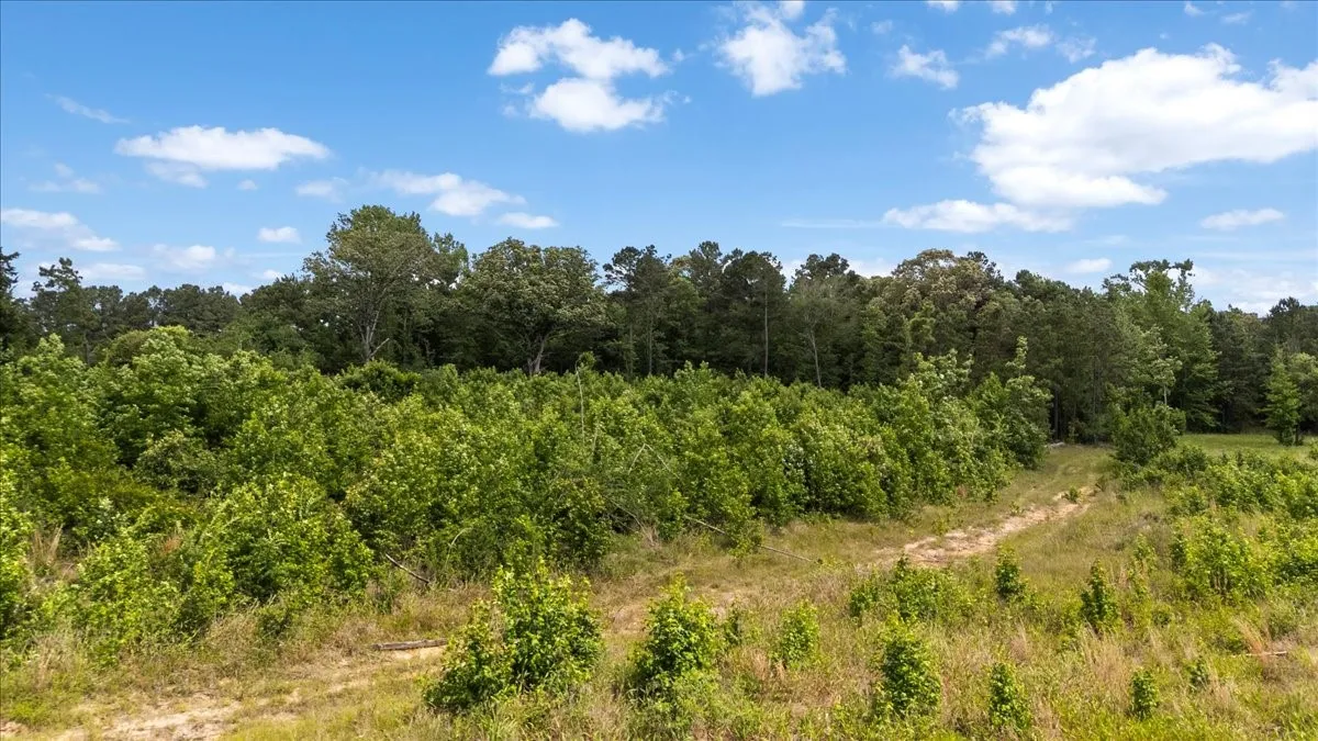 Improved Land For Sale in Wood County , 630 3953, Hawkins, Texas 75765, 0, 0, Garage spaces, 0 Sqft, built in 0, mls#21408218, Real Estate Agent in Hawkins, Homes For Sale in Wood county, Homes For Sale in Hawkins, Realtor in Hawkins Texas, Real Estate Brokerage Independent Realty Texas, Luminita Cordes Realtor