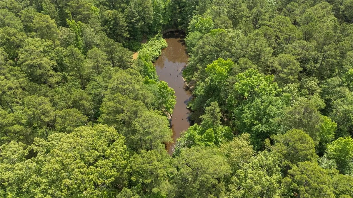 Improved Land For Sale in Wood County , 630 3953, Hawkins, Texas 75765, 0, 0, Garage spaces, 0 Sqft, built in 0, mls#21408218, Real Estate Agent in Hawkins, Homes For Sale in Wood county, Homes For Sale in Hawkins, Realtor in Hawkins Texas, Real Estate Brokerage Independent Realty Texas, Luminita Cordes Realtor