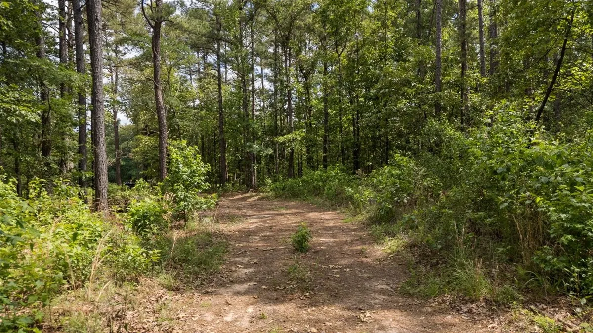 Improved Land For Sale in Wood County , 630 3953, Hawkins, Texas 75765, 0, 0, Garage spaces, 0 Sqft, built in 0, mls#21408218, Real Estate Agent in Hawkins, Homes For Sale in Wood county, Homes For Sale in Hawkins, Realtor in Hawkins Texas, Real Estate Brokerage Independent Realty Texas, Luminita Cordes Realtor