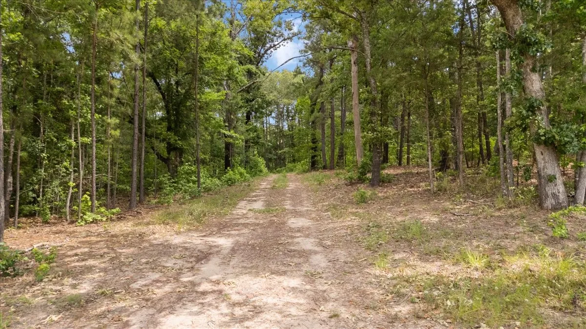 Improved Land For Sale in Wood County , 630 3953, Hawkins, Texas 75765, 0, 0, Garage spaces, 0 Sqft, built in 0, mls#21408218, Real Estate Agent in Hawkins, Homes For Sale in Wood county, Homes For Sale in Hawkins, Realtor in Hawkins Texas, Real Estate Brokerage Independent Realty Texas, Luminita Cordes Realtor