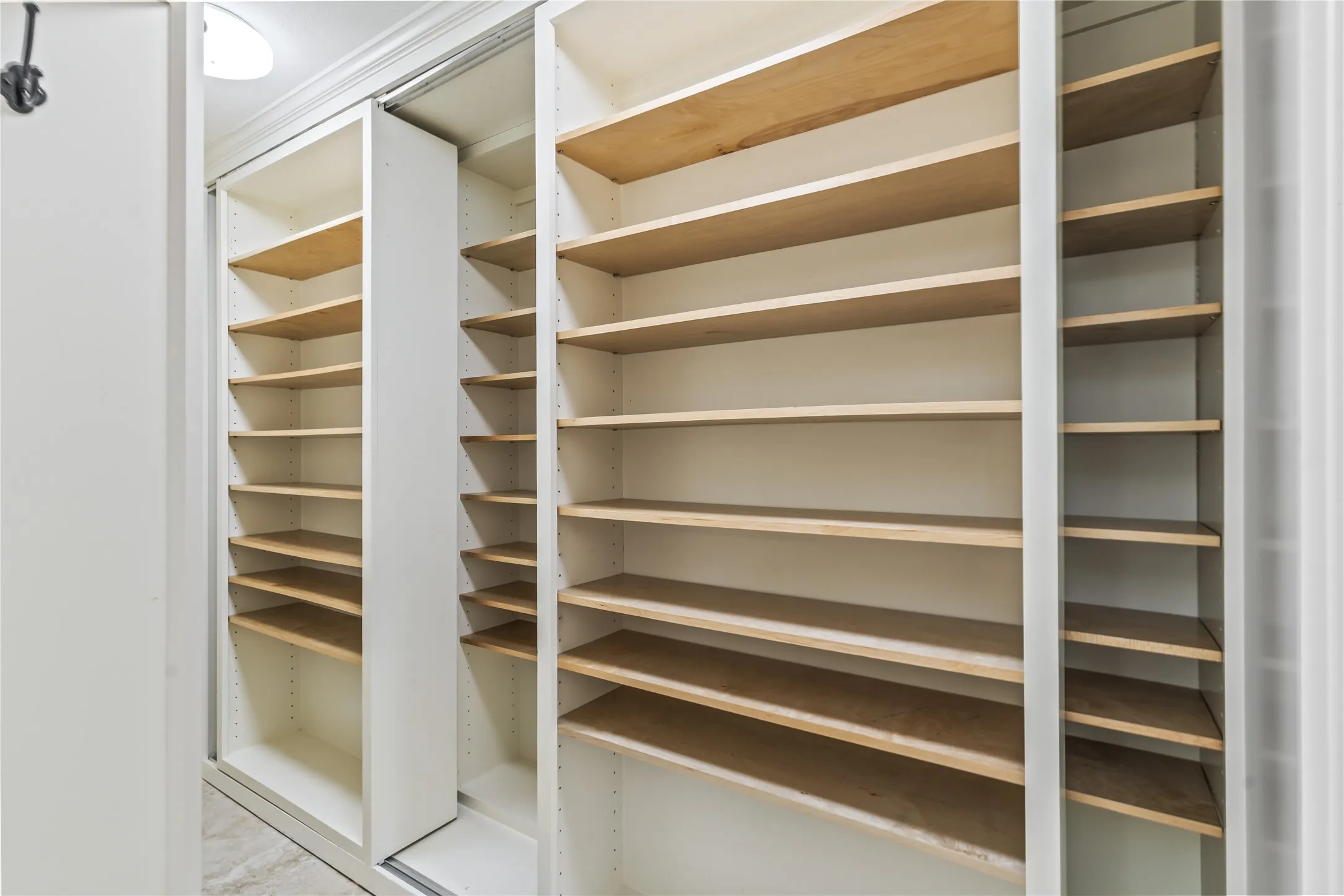 Primary Closet there a 2 closets in this Bath