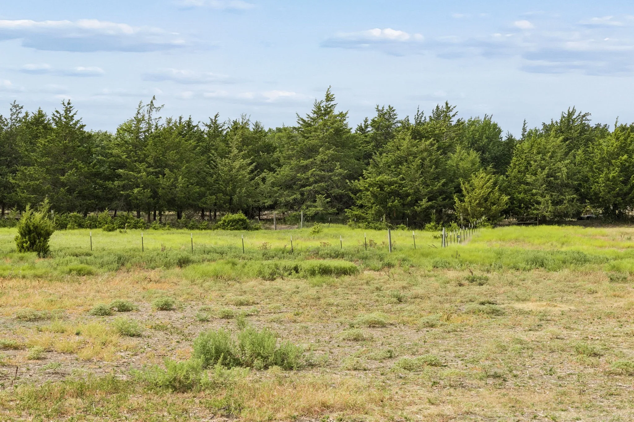 Unimproved Land For Sale in Grayson County , TBD - 5.005 FM 121, Van Alstyne, Texas 75495, 0, 0, Garage spaces, 0 Sqft, built in 0, mls#21377161, Real Estate Agent in Van Alstyne, Homes For Sale in Grayson county, Homes For Sale in Van Alstyne, Realtor in Van Alstyne Texas, Real Estate Brokerage Independent Realty Texas, Luminita Cordes Realtor