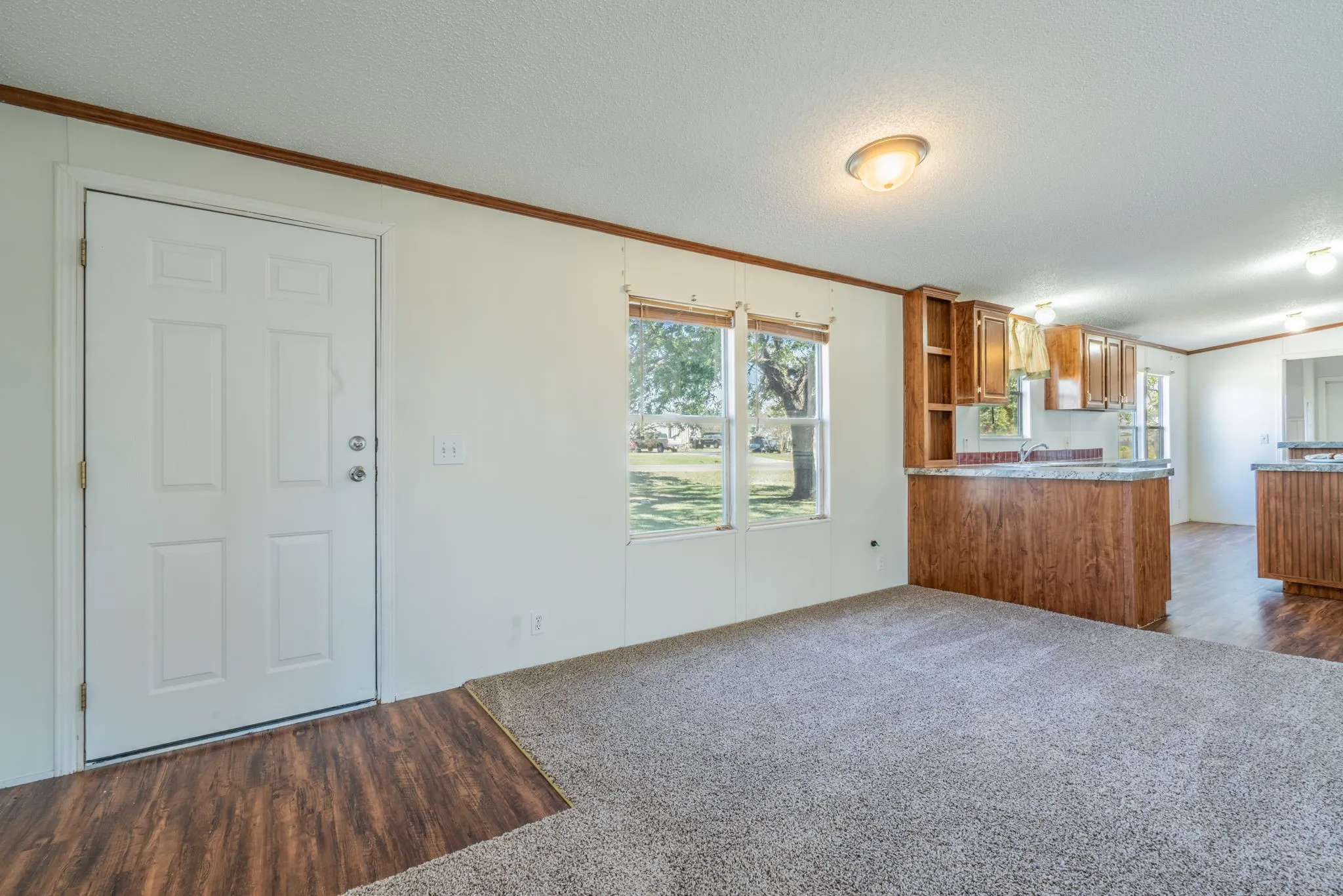 Living Area: Front entry opens to a carpeted gathering space with natural light and easy access to the kitchen.