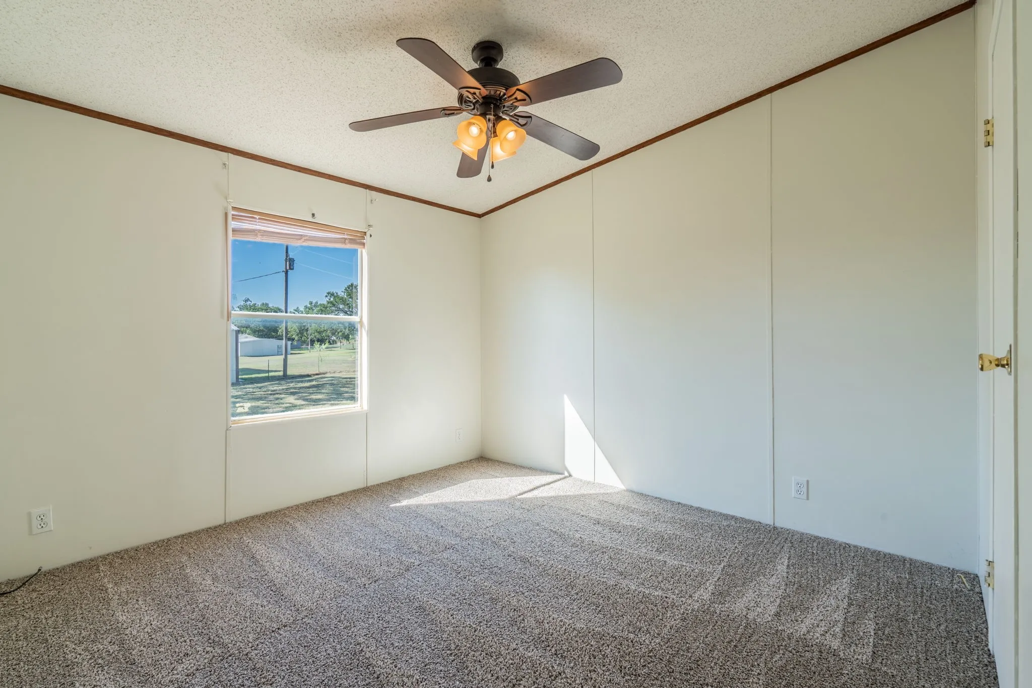 Bedroom: Bright bedroom with neutral finishes, carpeting, a lighted ceiling fan, and a window overlooking the outdoor space.