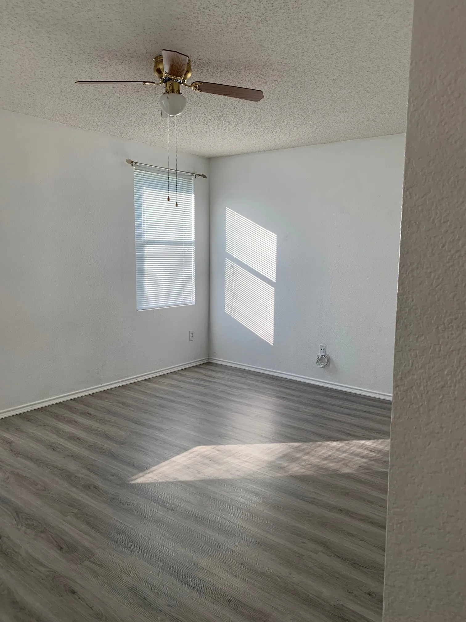 Updated photo of Luxury Vinyl Plank installed and no furnishings
