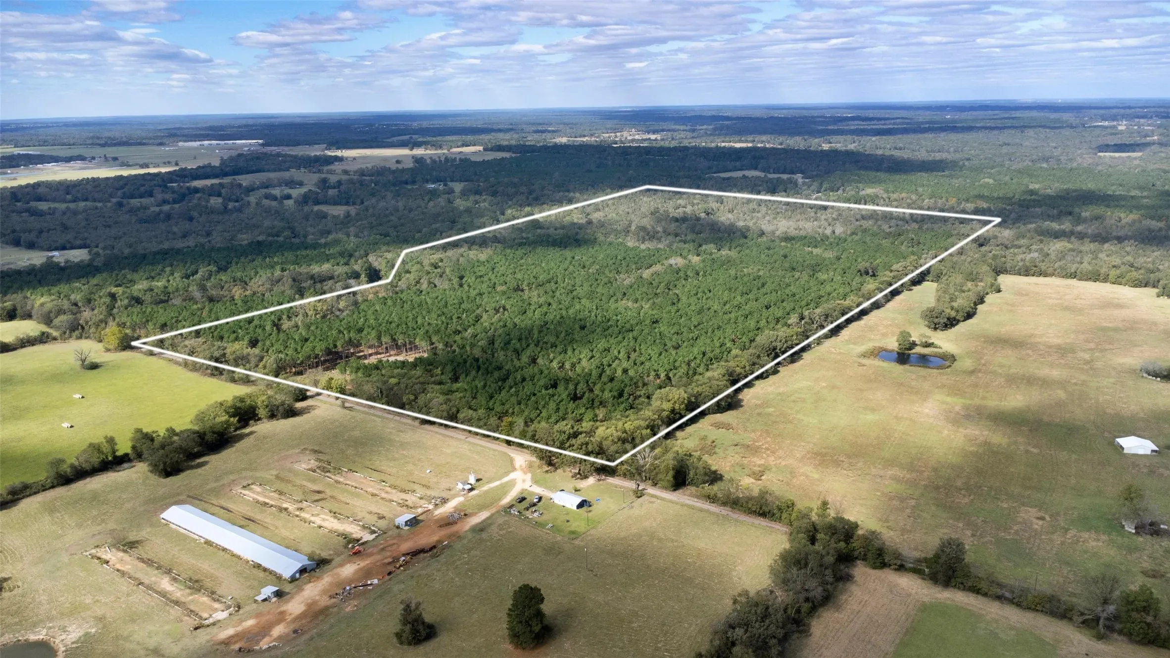 Unimproved Land For Sale in Upshur County , TBD Wolf Road, Pittsburg, Texas 75686, 0, 0, Garage spaces, 0 Sqft, built in 0, mls#21408212, Real Estate Agent in Pittsburg, Homes For Sale in Upshur county, Homes For Sale in Pittsburg, Realtor in Pittsburg Texas, Real Estate Brokerage Independent Realty Texas, Luminita Cordes Realtor