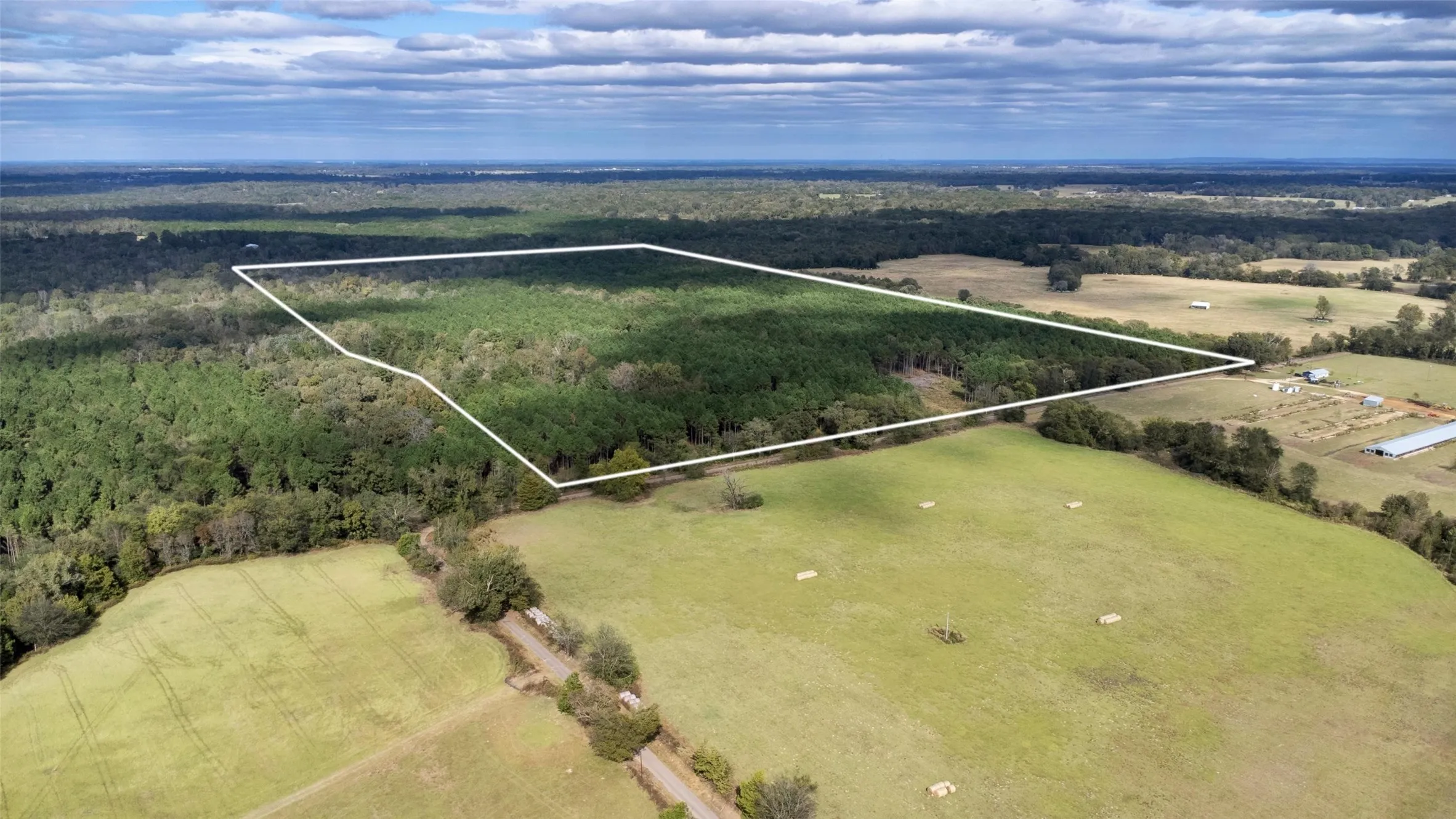 Unimproved Land For Sale in Upshur County , TBD Wolf Road, Pittsburg, Texas 75686, 0, 0, Garage spaces, 0 Sqft, built in 0, mls#21408212, Real Estate Agent in Pittsburg, Homes For Sale in Upshur county, Homes For Sale in Pittsburg, Realtor in Pittsburg Texas, Real Estate Brokerage Independent Realty Texas, Luminita Cordes Realtor