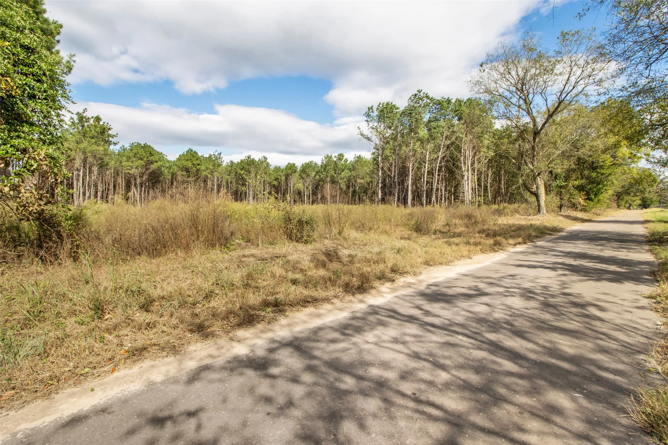 Unimproved Land For Sale in Upshur County , TBD Wolf Road, Pittsburg, Texas 75686, 0, 0, Garage spaces, 0 Sqft, built in 0, mls#21408212, Real Estate Agent in Pittsburg, Homes For Sale in Upshur county, Homes For Sale in Pittsburg, Realtor in Pittsburg Texas, Real Estate Brokerage Independent Realty Texas, Luminita Cordes Realtor