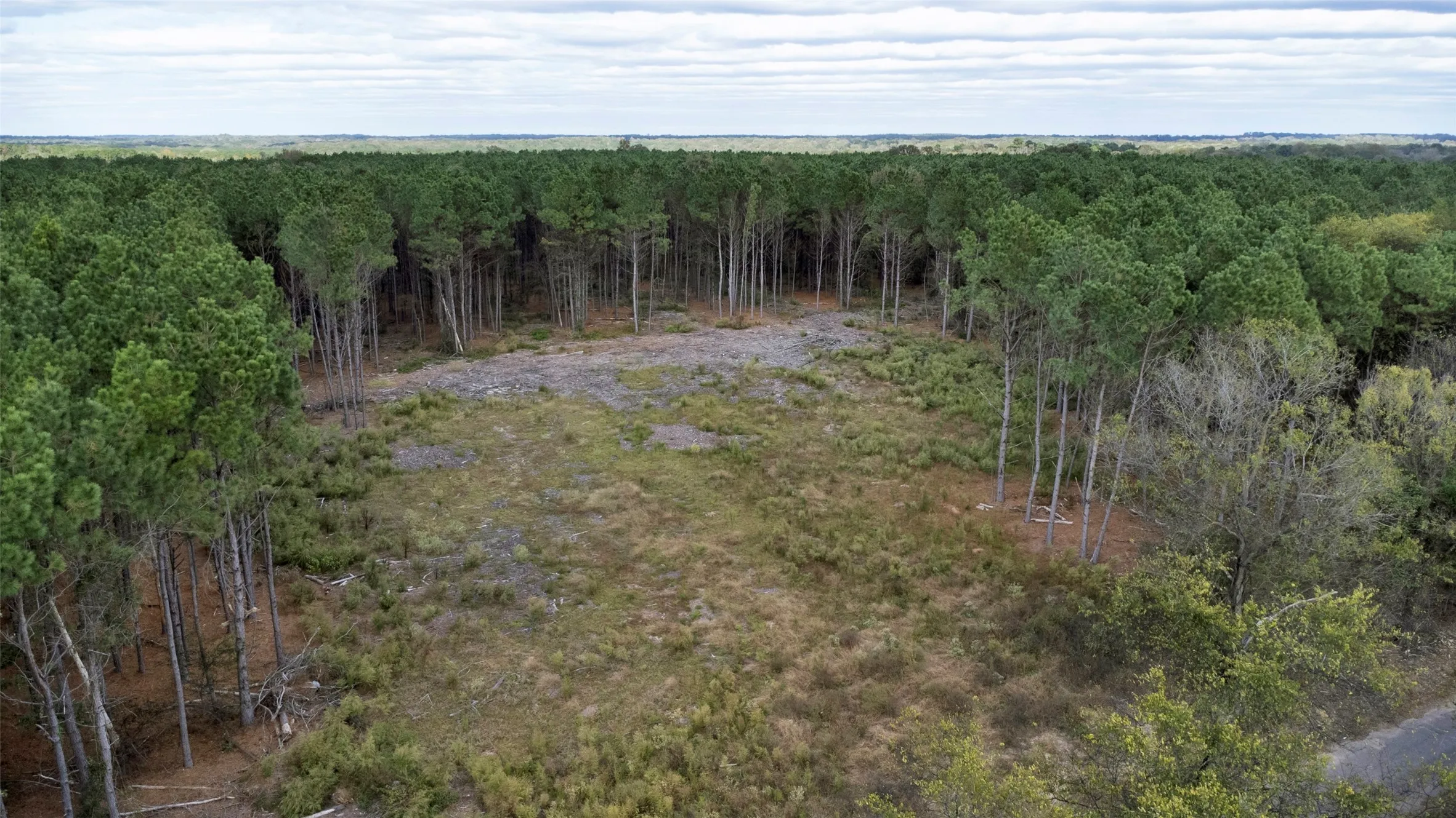 Unimproved Land For Sale in Upshur County , TBD Wolf Road, Pittsburg, Texas 75686, 0, 0, Garage spaces, 0 Sqft, built in 0, mls#21408212, Real Estate Agent in Pittsburg, Homes For Sale in Upshur county, Homes For Sale in Pittsburg, Realtor in Pittsburg Texas, Real Estate Brokerage Independent Realty Texas, Luminita Cordes Realtor