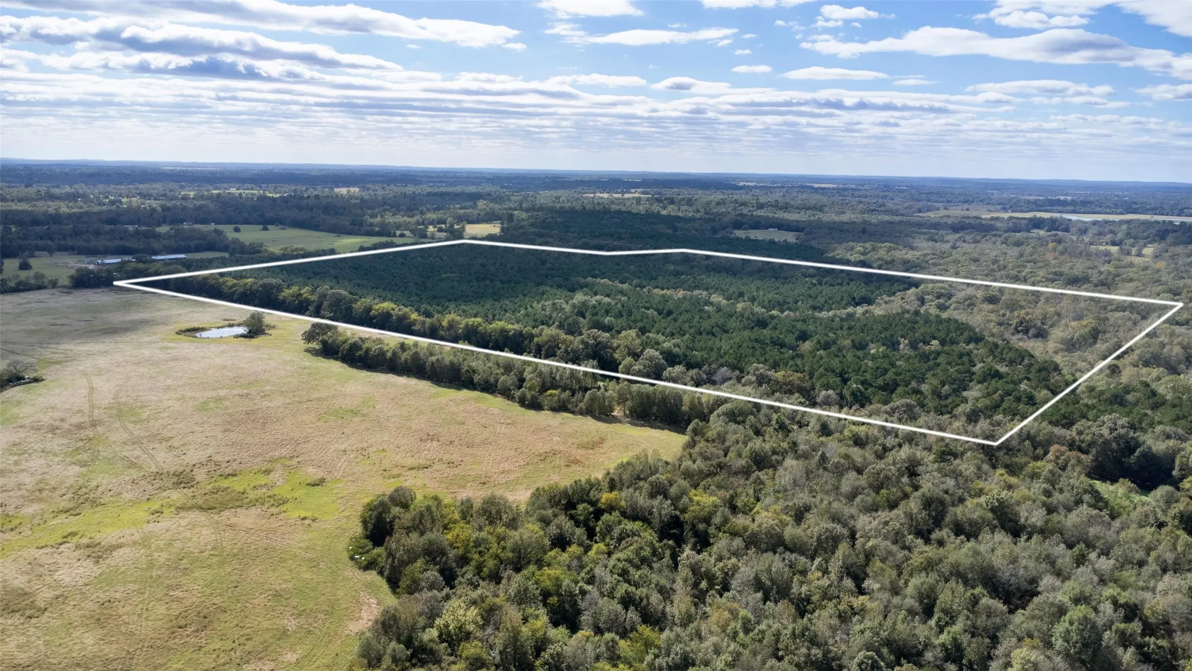 Unimproved Land For Sale in Upshur County , TBD Wolf Road, Pittsburg, Texas 75686, 0, 0, Garage spaces, 0 Sqft, built in 0, mls#21408212, Real Estate Agent in Pittsburg, Homes For Sale in Upshur county, Homes For Sale in Pittsburg, Realtor in Pittsburg Texas, Real Estate Brokerage Independent Realty Texas, Luminita Cordes Realtor