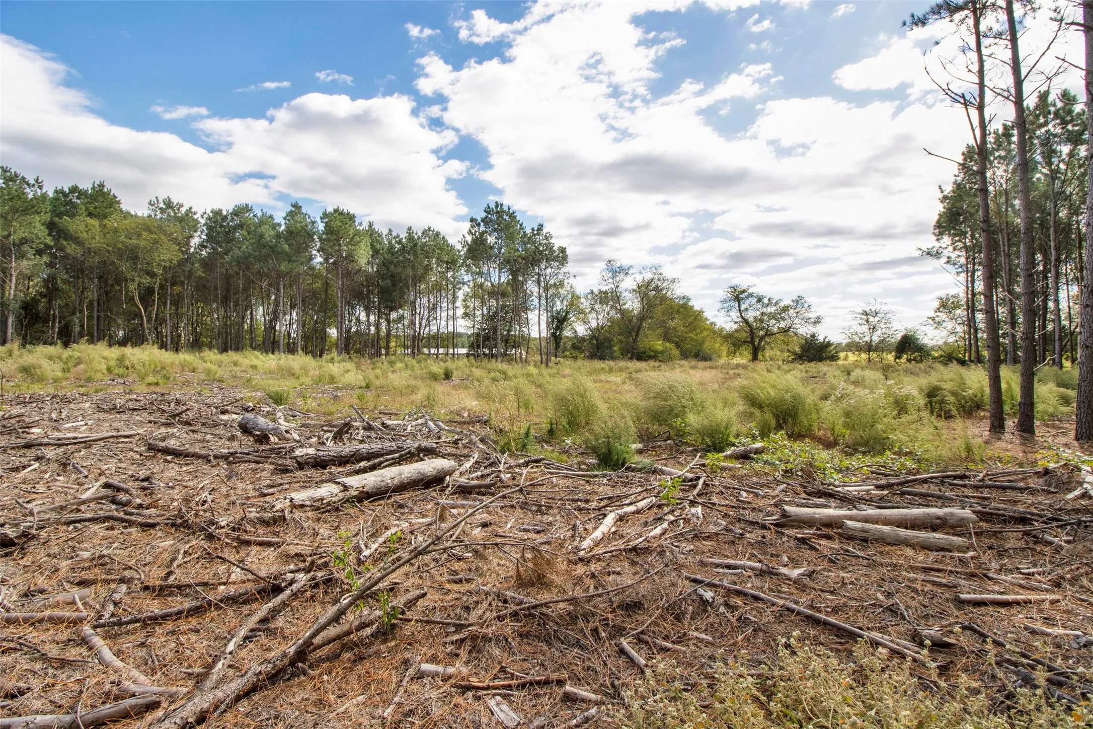 Unimproved Land For Sale in Upshur County , TBD Wolf Road, Pittsburg, Texas 75686, 0, 0, Garage spaces, 0 Sqft, built in 0, mls#21408212, Real Estate Agent in Pittsburg, Homes For Sale in Upshur county, Homes For Sale in Pittsburg, Realtor in Pittsburg Texas, Real Estate Brokerage Independent Realty Texas, Luminita Cordes Realtor