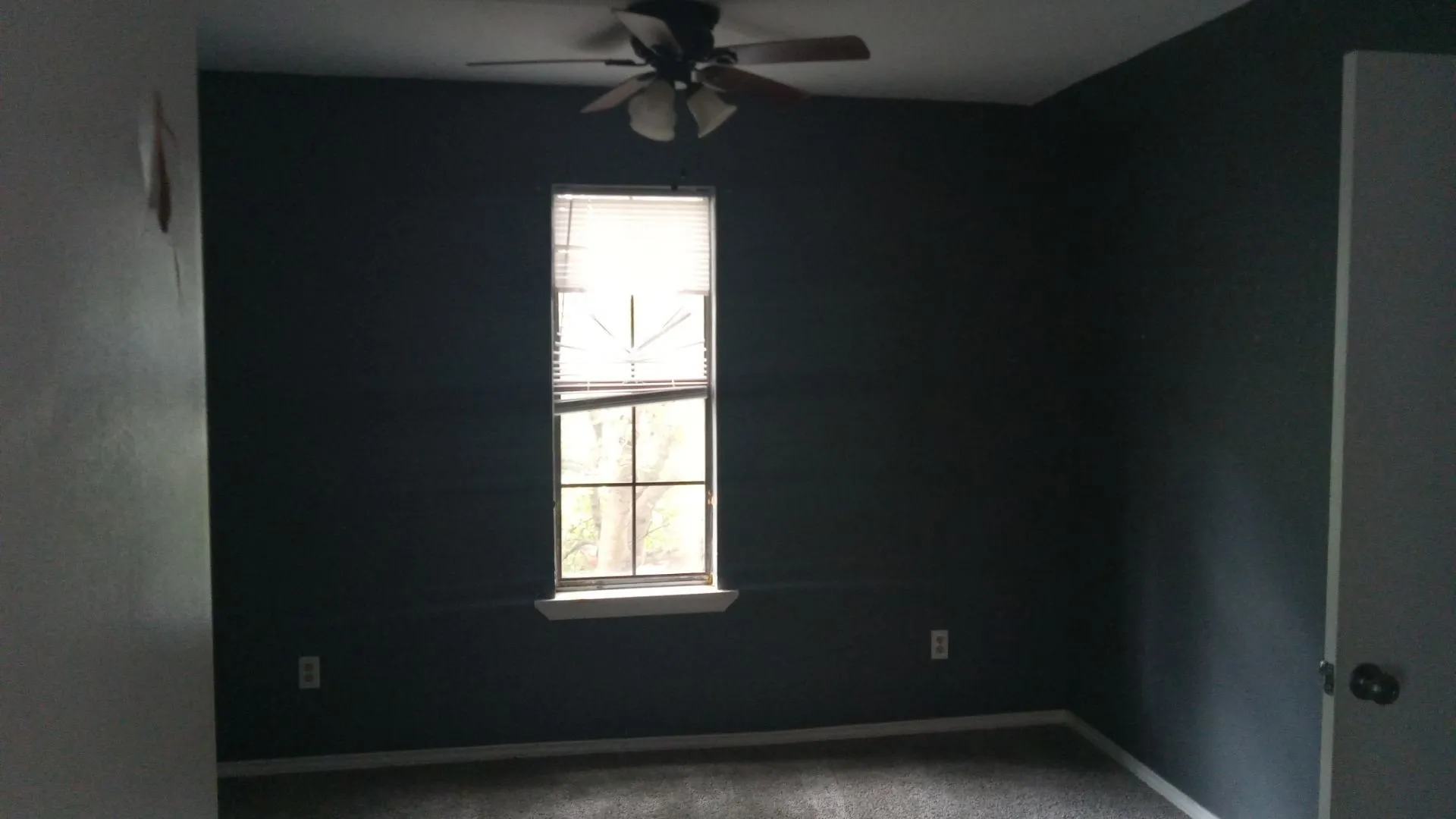 Carpeted flooring with dark walls, featuring a window and ceiling fan