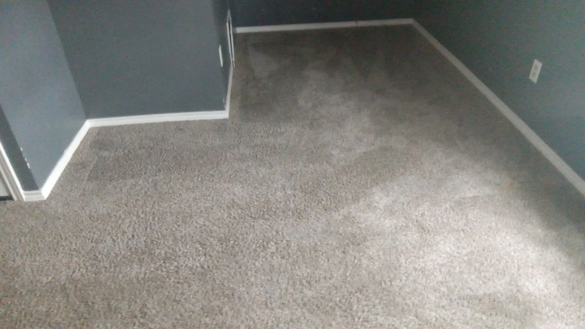Plush gray carpeting throughout, complemented by gray wall paint and white trim