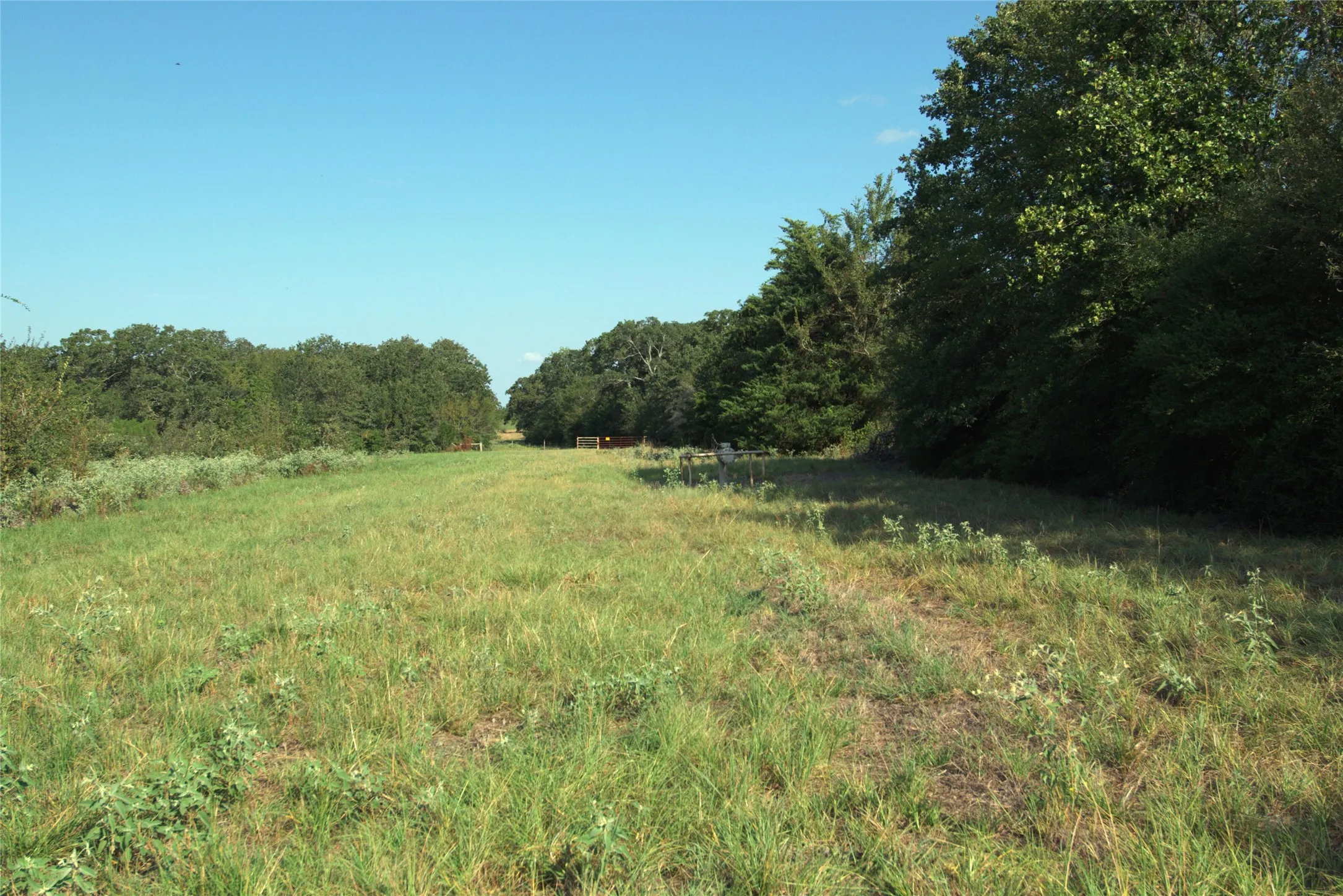 Unimproved Land For Sale in Limestone County , 0 TBD LCR 822, Groesbeck, Texas 76642, 0, 0, Garage spaces, 0 Sqft, built in 0, mls#21408293, Real Estate Agent in Groesbeck, Homes For Sale in Limestone county, Homes For Sale in Groesbeck, Realtor in Groesbeck Texas, Real Estate Brokerage Independent Realty Texas, Luminita Cordes Realtor