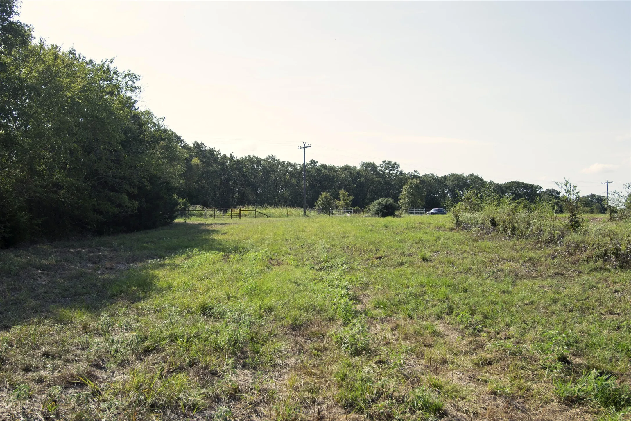 Unimproved Land For Sale in Limestone County , 0 TBD LCR 822, Groesbeck, Texas 76642, 0, 0, Garage spaces, 0 Sqft, built in 0, mls#21408293, Real Estate Agent in Groesbeck, Homes For Sale in Limestone county, Homes For Sale in Groesbeck, Realtor in Groesbeck Texas, Real Estate Brokerage Independent Realty Texas, Luminita Cordes Realtor