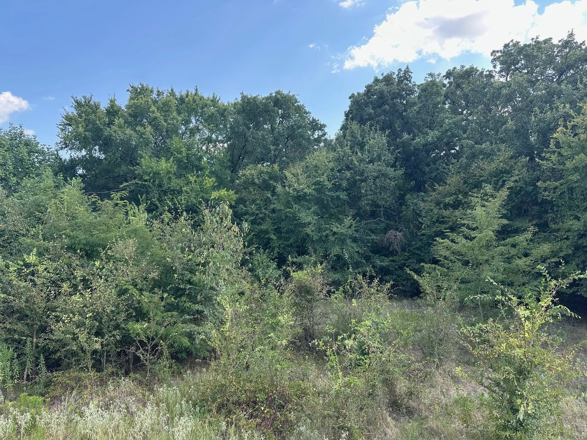 Improved Land For Sale in Rains County , RS Private Road 6372, Alba, Texas 75410, 0, 0, Garage spaces, 0 Sqft, built in 0, mls#21408304, Real Estate Agent in Alba, Homes For Sale in Rains county, Homes For Sale in Alba, Realtor in Alba Texas, Real Estate Brokerage Independent Realty Texas, Luminita Cordes Realtor