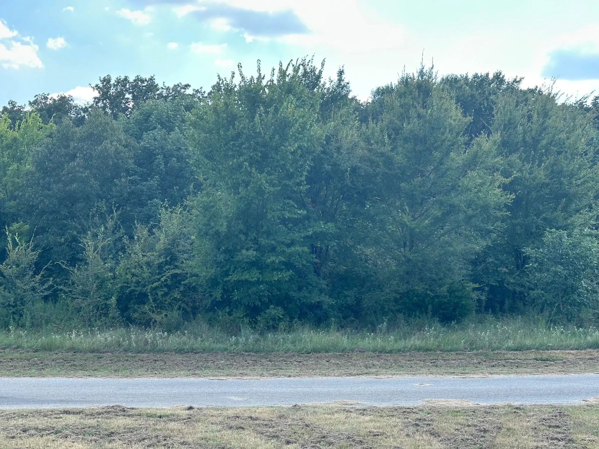 Improved Land For Sale in Rains County , RS Private Road 6372, Alba, Texas 75410, 0, 0, Garage spaces, 0 Sqft, built in 0, mls#21408304, Real Estate Agent in Alba, Homes For Sale in Rains county, Homes For Sale in Alba, Realtor in Alba Texas, Real Estate Brokerage Independent Realty Texas, Luminita Cordes Realtor