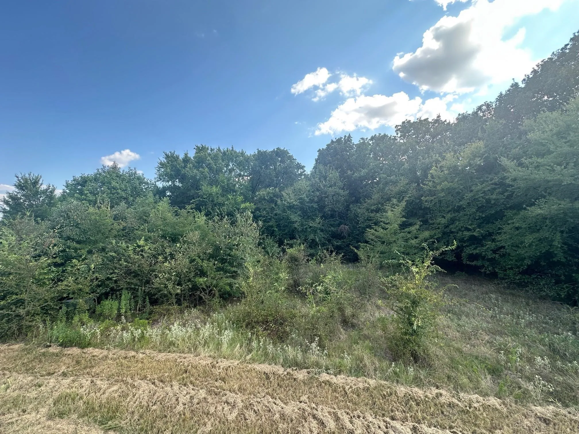 Improved Land For Sale in Rains County , RS Private Road 6372, Alba, Texas 75410, 0, 0, Garage spaces, 0 Sqft, built in 0, mls#21408304, Real Estate Agent in Alba, Homes For Sale in Rains county, Homes For Sale in Alba, Realtor in Alba Texas, Real Estate Brokerage Independent Realty Texas, Luminita Cordes Realtor