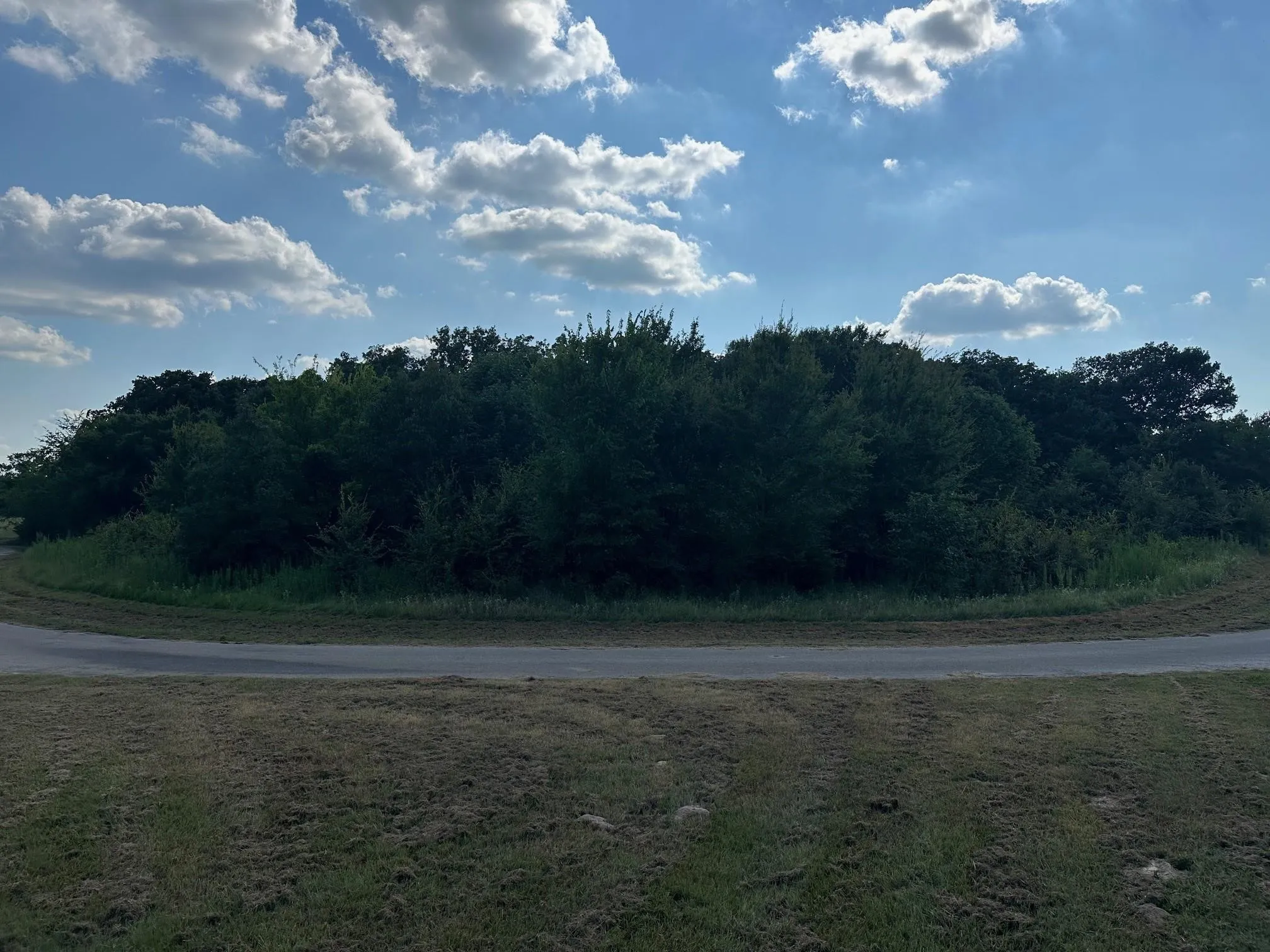 Improved Land For Sale in Rains County , RS Private Road 6372, Alba, Texas 75410, 0, 0, Garage spaces, 0 Sqft, built in 0, mls#21408304, Real Estate Agent in Alba, Homes For Sale in Rains county, Homes For Sale in Alba, Realtor in Alba Texas, Real Estate Brokerage Independent Realty Texas, Luminita Cordes Realtor