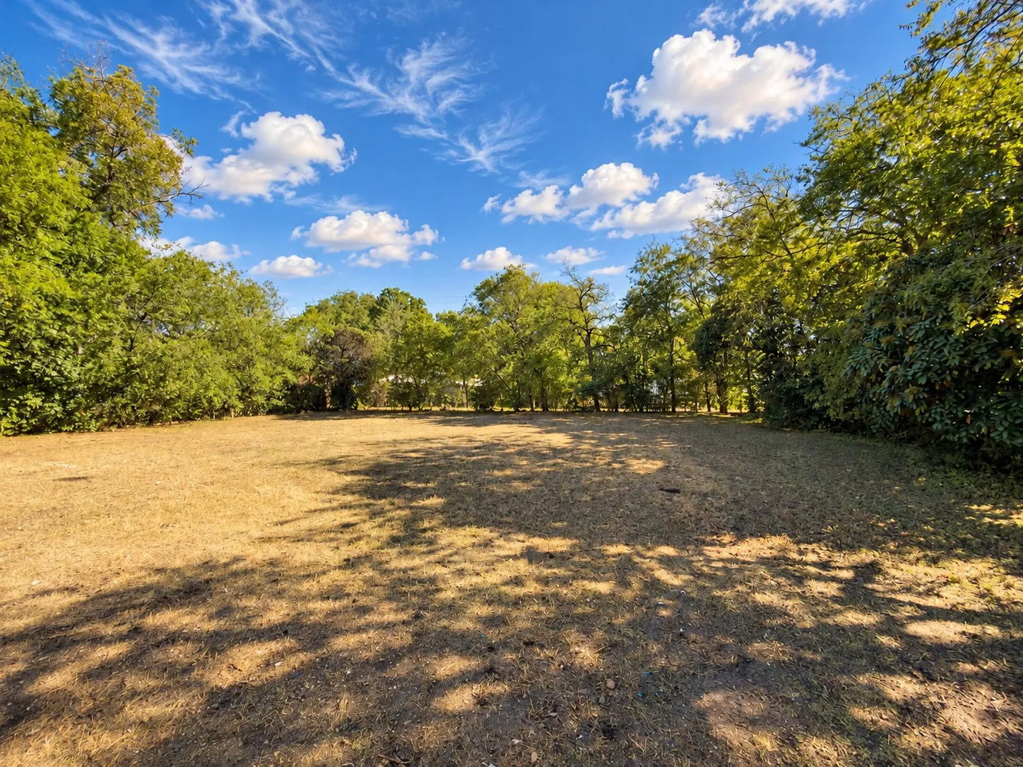 Expansive property featuring mature trees and a clear, level building area