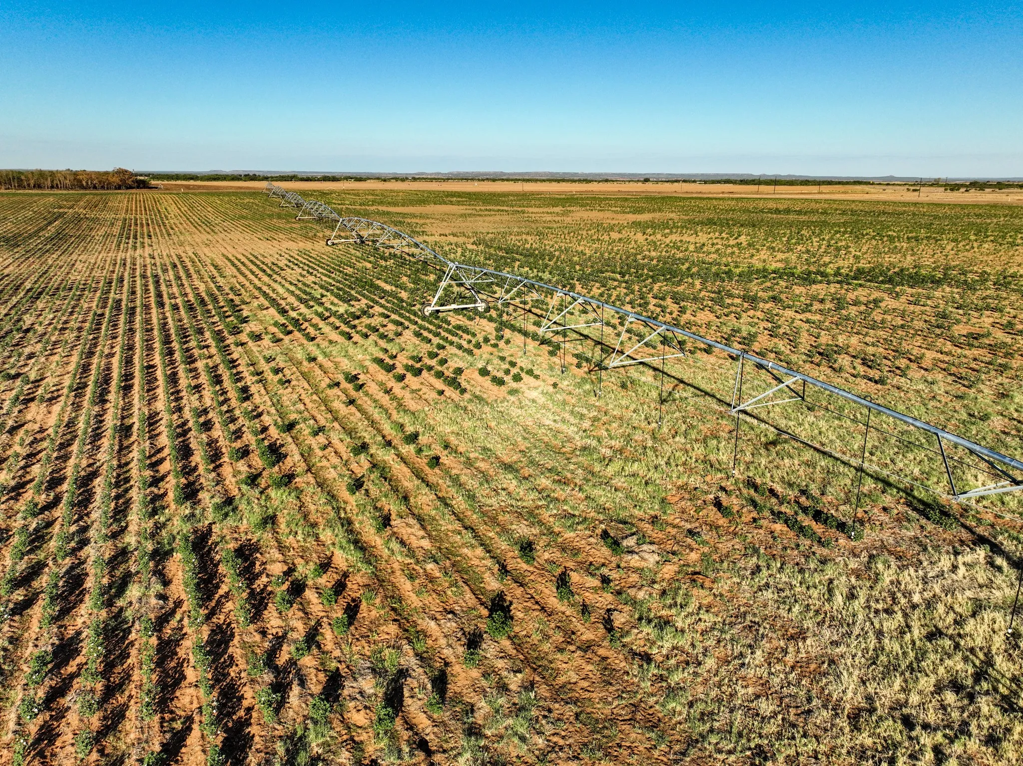 Improved Land For Sale in Haskell County , 424 CR 141, Rule, Texas 79547, 0, 0, Garage spaces, 0 Sqft, built in 2022, mls#21408288, Real Estate Agent in Rule, Homes For Sale in Haskell county, Homes For Sale in Rule, Realtor in Rule Texas, Real Estate Brokerage Independent Realty Texas, Luminita Cordes Realtor