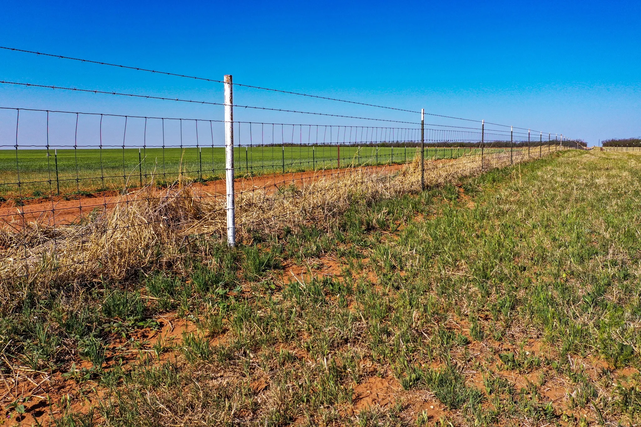 Improved Land For Sale in Haskell County , 424 CR 141, Rule, Texas 79547, 0, 0, Garage spaces, 0 Sqft, built in 2022, mls#21408288, Real Estate Agent in Rule, Homes For Sale in Haskell county, Homes For Sale in Rule, Realtor in Rule Texas, Real Estate Brokerage Independent Realty Texas, Luminita Cordes Realtor