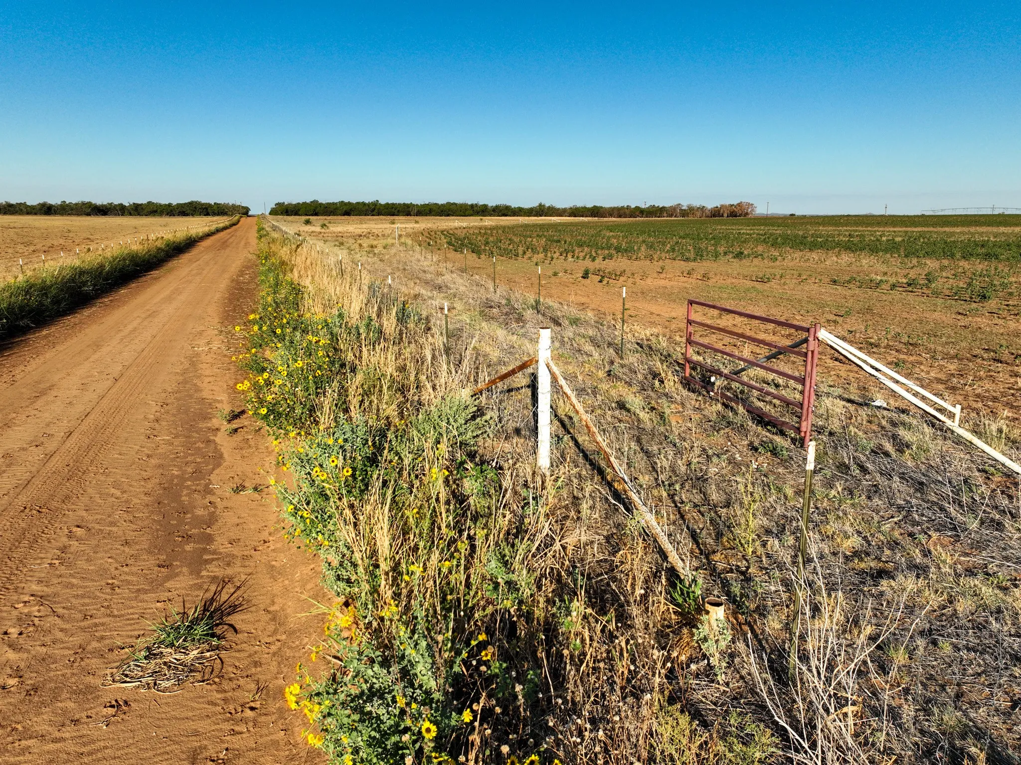 Improved Land For Sale in Haskell County , 424 CR 141, Rule, Texas 79547, 0, 0, Garage spaces, 0 Sqft, built in 2022, mls#21408288, Real Estate Agent in Rule, Homes For Sale in Haskell county, Homes For Sale in Rule, Realtor in Rule Texas, Real Estate Brokerage Independent Realty Texas, Luminita Cordes Realtor