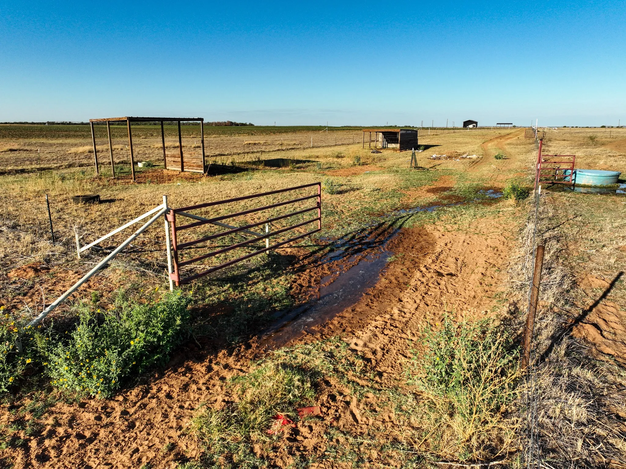 Improved Land For Sale in Haskell County , 424 CR 141, Rule, Texas 79547, 0, 0, Garage spaces, 0 Sqft, built in 2022, mls#21408288, Real Estate Agent in Rule, Homes For Sale in Haskell county, Homes For Sale in Rule, Realtor in Rule Texas, Real Estate Brokerage Independent Realty Texas, Luminita Cordes Realtor