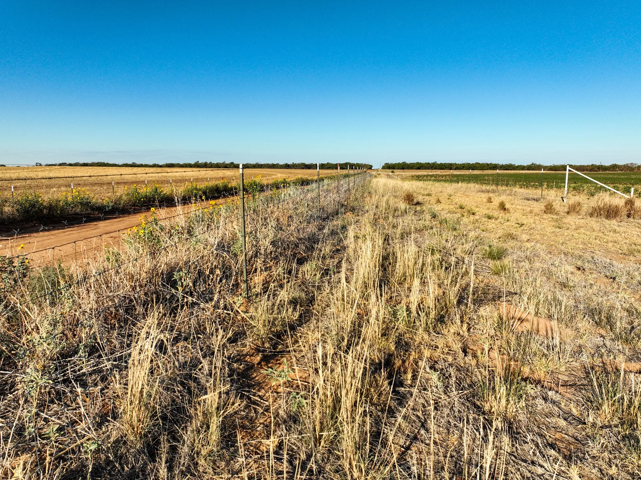 Improved Land For Sale in Haskell County , 424 CR 141, Rule, Texas 79547, 0, 0, Garage spaces, 0 Sqft, built in 2022, mls#21408288, Real Estate Agent in Rule, Homes For Sale in Haskell county, Homes For Sale in Rule, Realtor in Rule Texas, Real Estate Brokerage Independent Realty Texas, Luminita Cordes Realtor