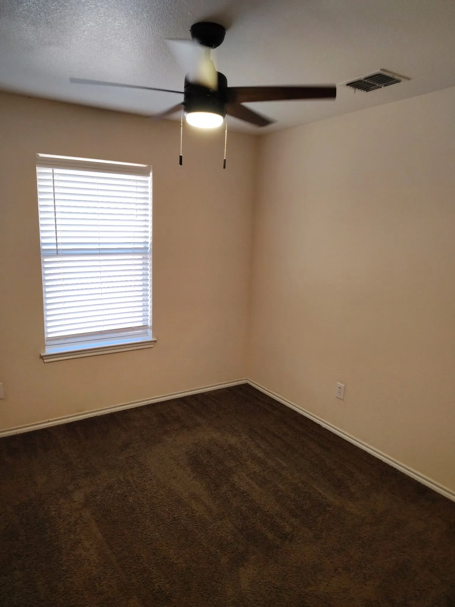 Neutral-toned walls complement the dark brown carpeting