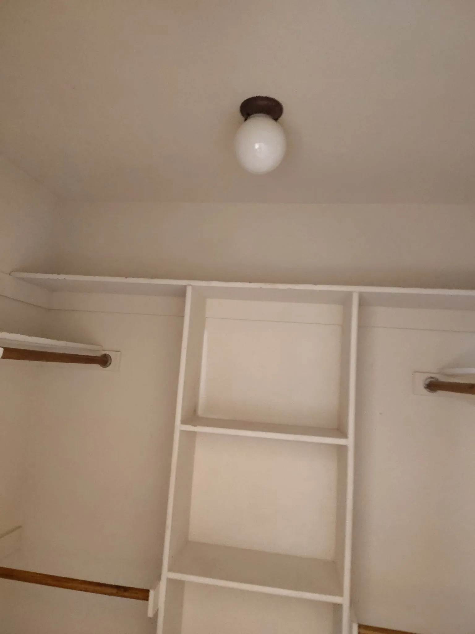 Built-in shelving, two hanging rods, and an overhead flush mount light fixture