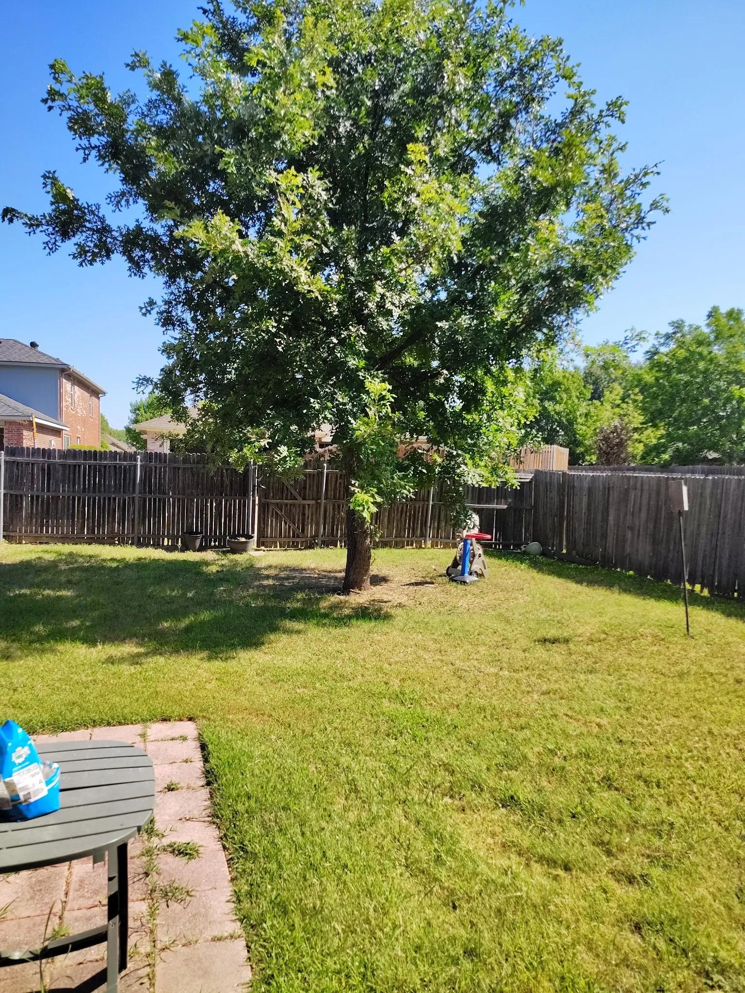 Expansive rear yard featuring a mature tree, natural grass, and a wood privacy fence