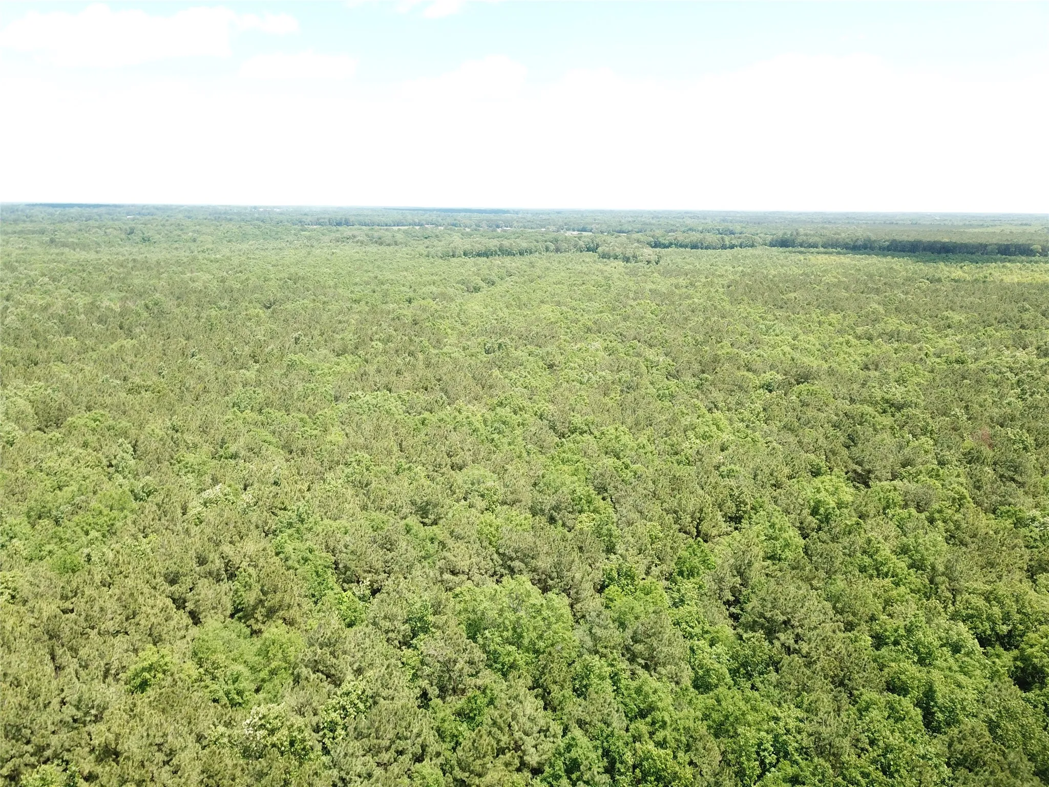 Unimproved Land For Sale in Bowie County , 00 County Road 4223, Simms, Texas 75574, 0, 0, Garage spaces, 0 Sqft, built in 0, mls#21408335, Real Estate Agent in Simms, Homes For Sale in Bowie county, Homes For Sale in Simms, Realtor in Simms Texas, Real Estate Brokerage Independent Realty Texas, Luminita Cordes Realtor