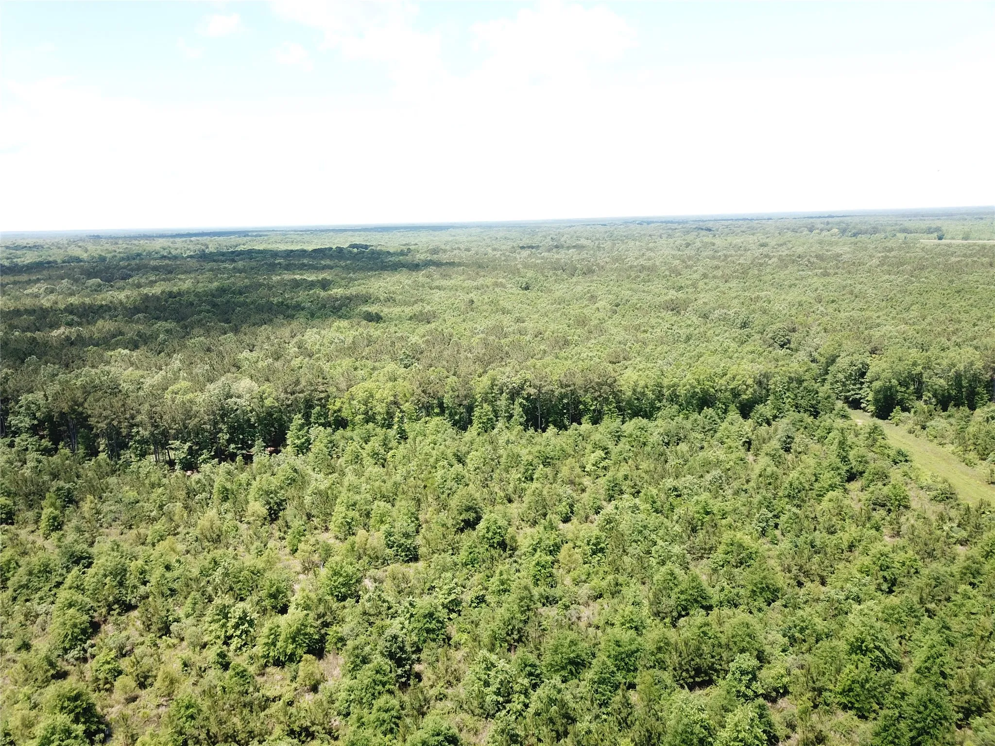 Unimproved Land For Sale in Bowie County , 00 County Road 4223, Simms, Texas 75574, 0, 0, Garage spaces, 0 Sqft, built in 0, mls#21408335, Real Estate Agent in Simms, Homes For Sale in Bowie county, Homes For Sale in Simms, Realtor in Simms Texas, Real Estate Brokerage Independent Realty Texas, Luminita Cordes Realtor