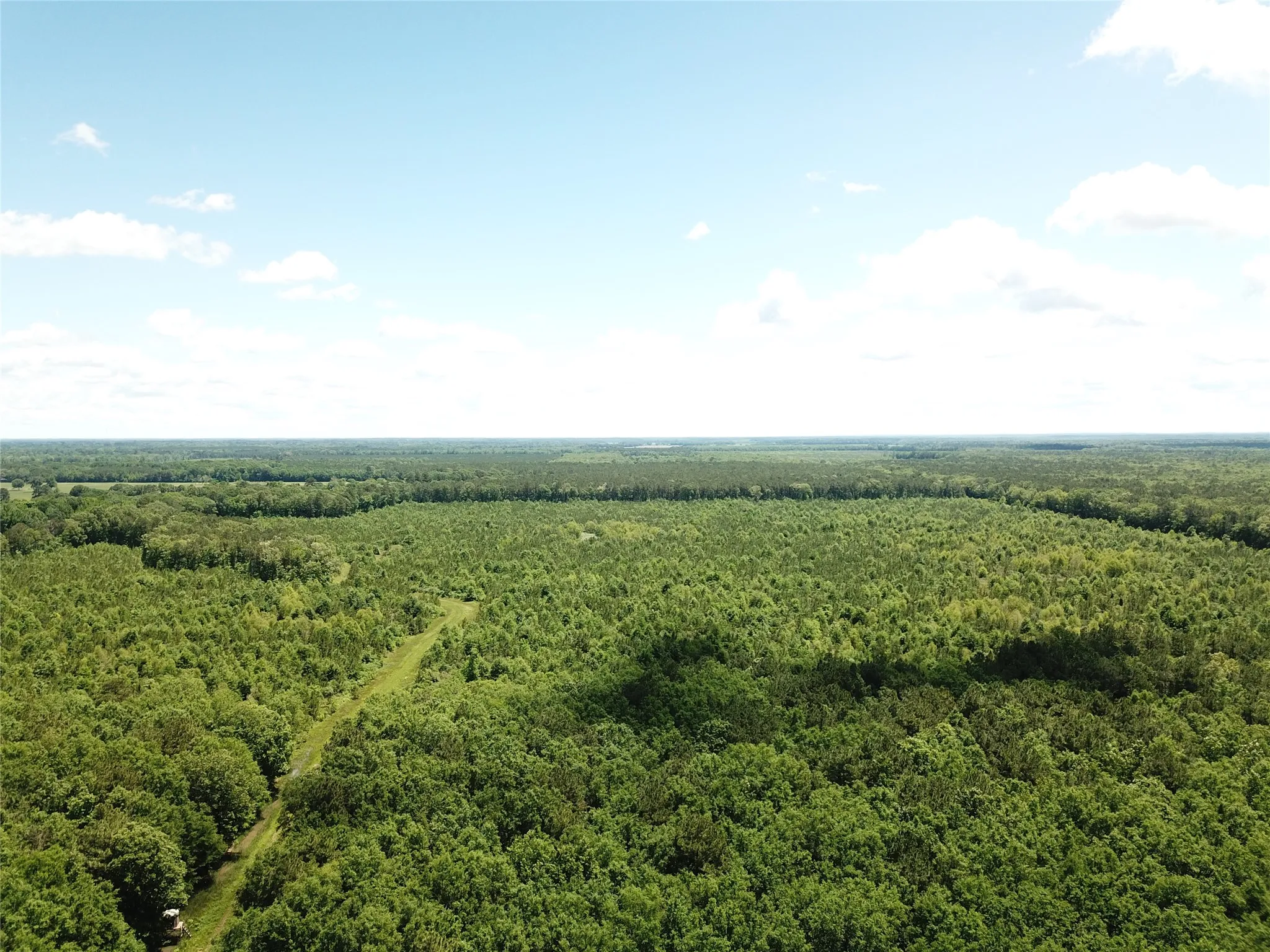 Unimproved Land For Sale in Bowie County , 00 County Road 4223, Simms, Texas 75574, 0, 0, Garage spaces, 0 Sqft, built in 0, mls#21408335, Real Estate Agent in Simms, Homes For Sale in Bowie county, Homes For Sale in Simms, Realtor in Simms Texas, Real Estate Brokerage Independent Realty Texas, Luminita Cordes Realtor
