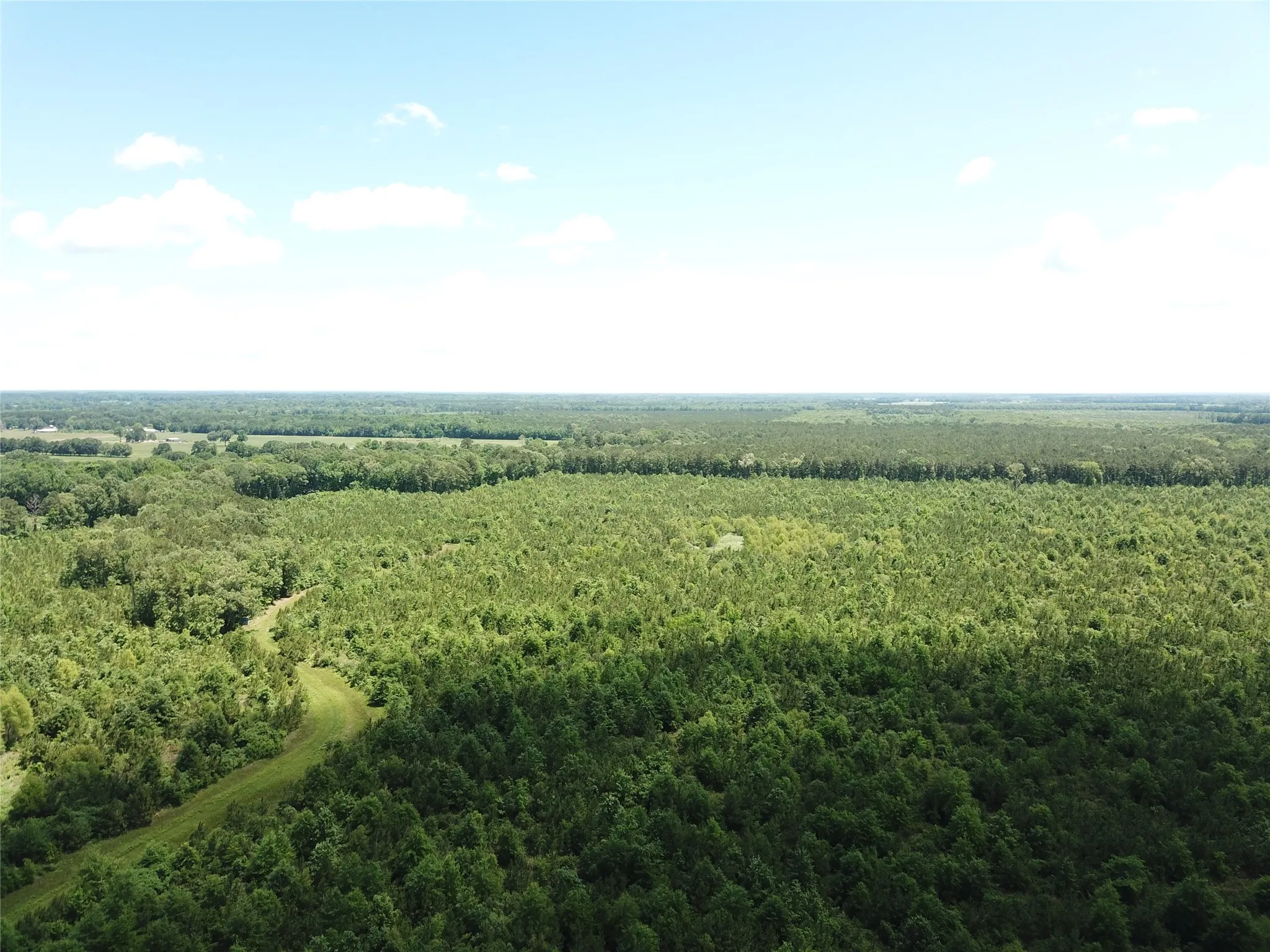 Unimproved Land For Sale in Bowie County , 00 County Road 4223, Simms, Texas 75574, 0, 0, Garage spaces, 0 Sqft, built in 0, mls#21408335, Real Estate Agent in Simms, Homes For Sale in Bowie county, Homes For Sale in Simms, Realtor in Simms Texas, Real Estate Brokerage Independent Realty Texas, Luminita Cordes Realtor