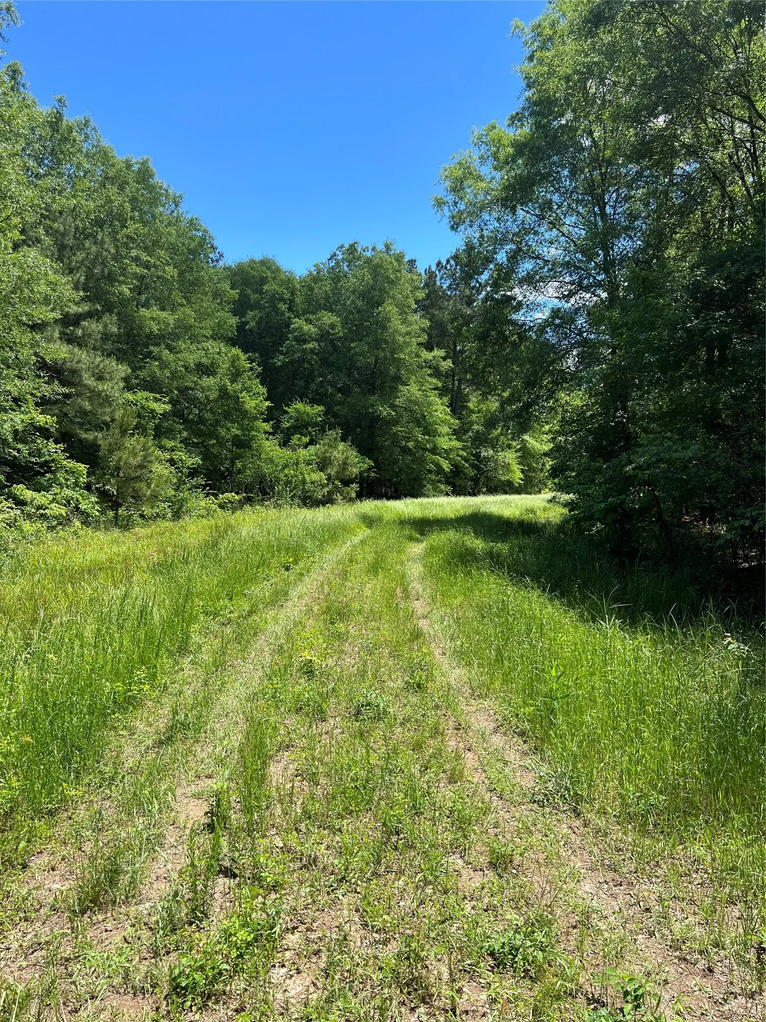 Unimproved Land For Sale in Bowie County , 00 County Road 4223, Simms, Texas 75574, 0, 0, Garage spaces, 0 Sqft, built in 0, mls#21408335, Real Estate Agent in Simms, Homes For Sale in Bowie county, Homes For Sale in Simms, Realtor in Simms Texas, Real Estate Brokerage Independent Realty Texas, Luminita Cordes Realtor