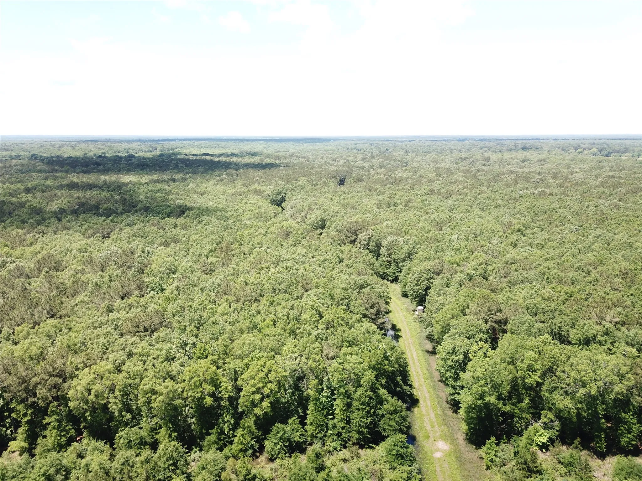 Unimproved Land For Sale in Bowie County , 00 County Road 4223, Simms, Texas 75574, 0, 0, Garage spaces, 0 Sqft, built in 0, mls#21408335, Real Estate Agent in Simms, Homes For Sale in Bowie county, Homes For Sale in Simms, Realtor in Simms Texas, Real Estate Brokerage Independent Realty Texas, Luminita Cordes Realtor