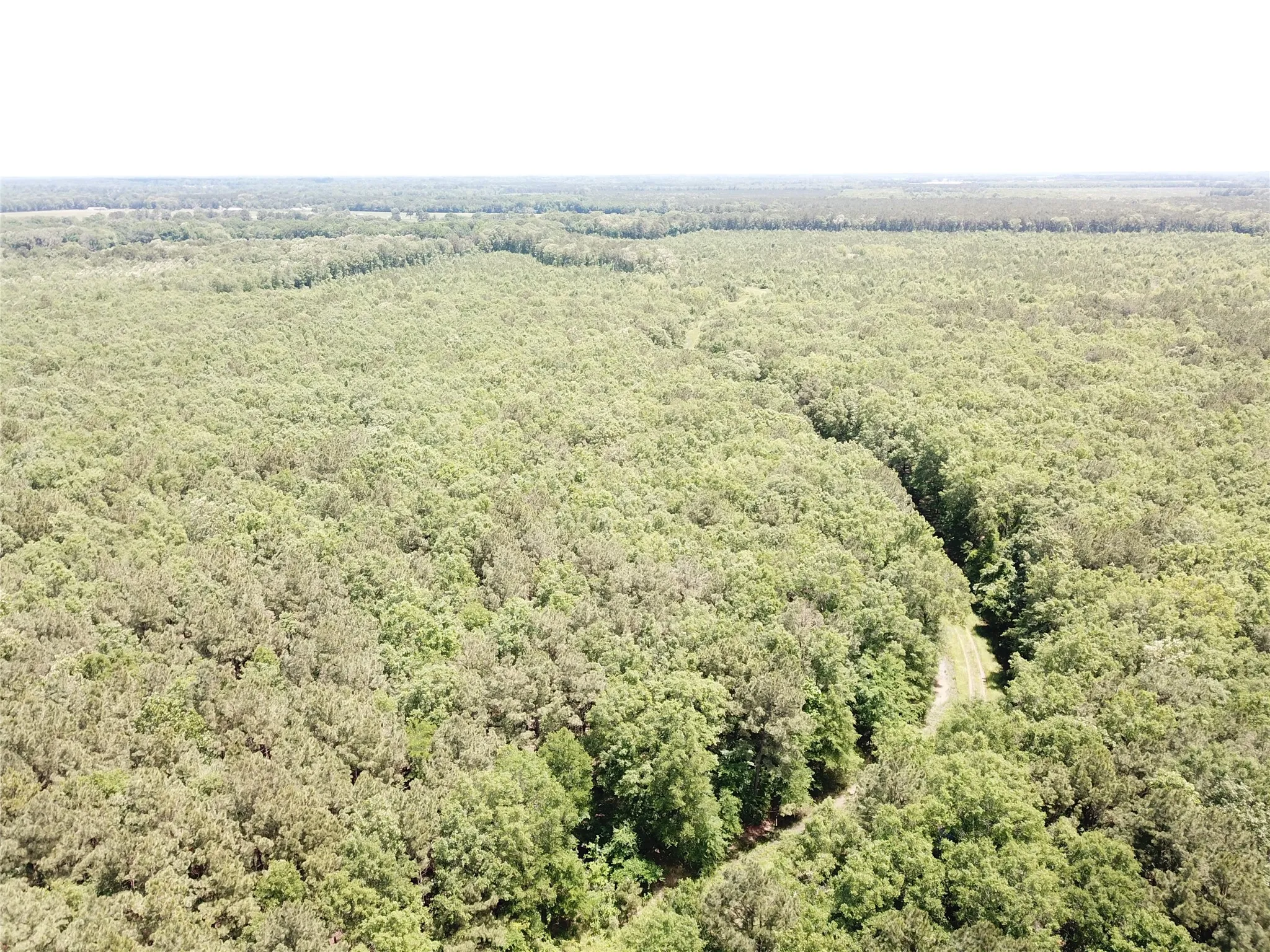 Unimproved Land For Sale in Bowie County , 00 County Road 4223, Simms, Texas 75574, 0, 0, Garage spaces, 0 Sqft, built in 0, mls#21408335, Real Estate Agent in Simms, Homes For Sale in Bowie county, Homes For Sale in Simms, Realtor in Simms Texas, Real Estate Brokerage Independent Realty Texas, Luminita Cordes Realtor
