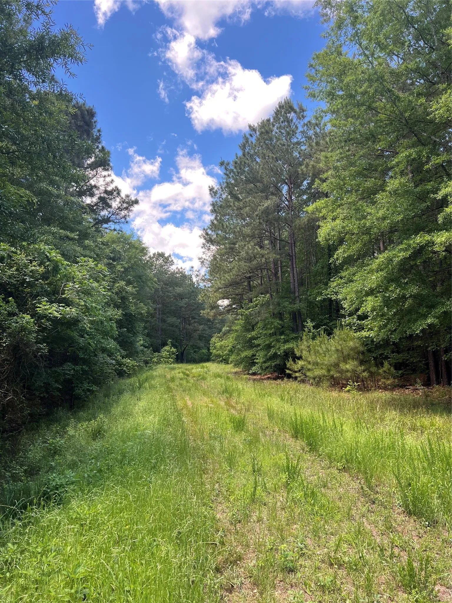 Unimproved Land For Sale in Bowie County , 00 County Road 4223, Simms, Texas 75574, 0, 0, Garage spaces, 0 Sqft, built in 0, mls#21408335, Real Estate Agent in Simms, Homes For Sale in Bowie county, Homes For Sale in Simms, Realtor in Simms Texas, Real Estate Brokerage Independent Realty Texas, Luminita Cordes Realtor