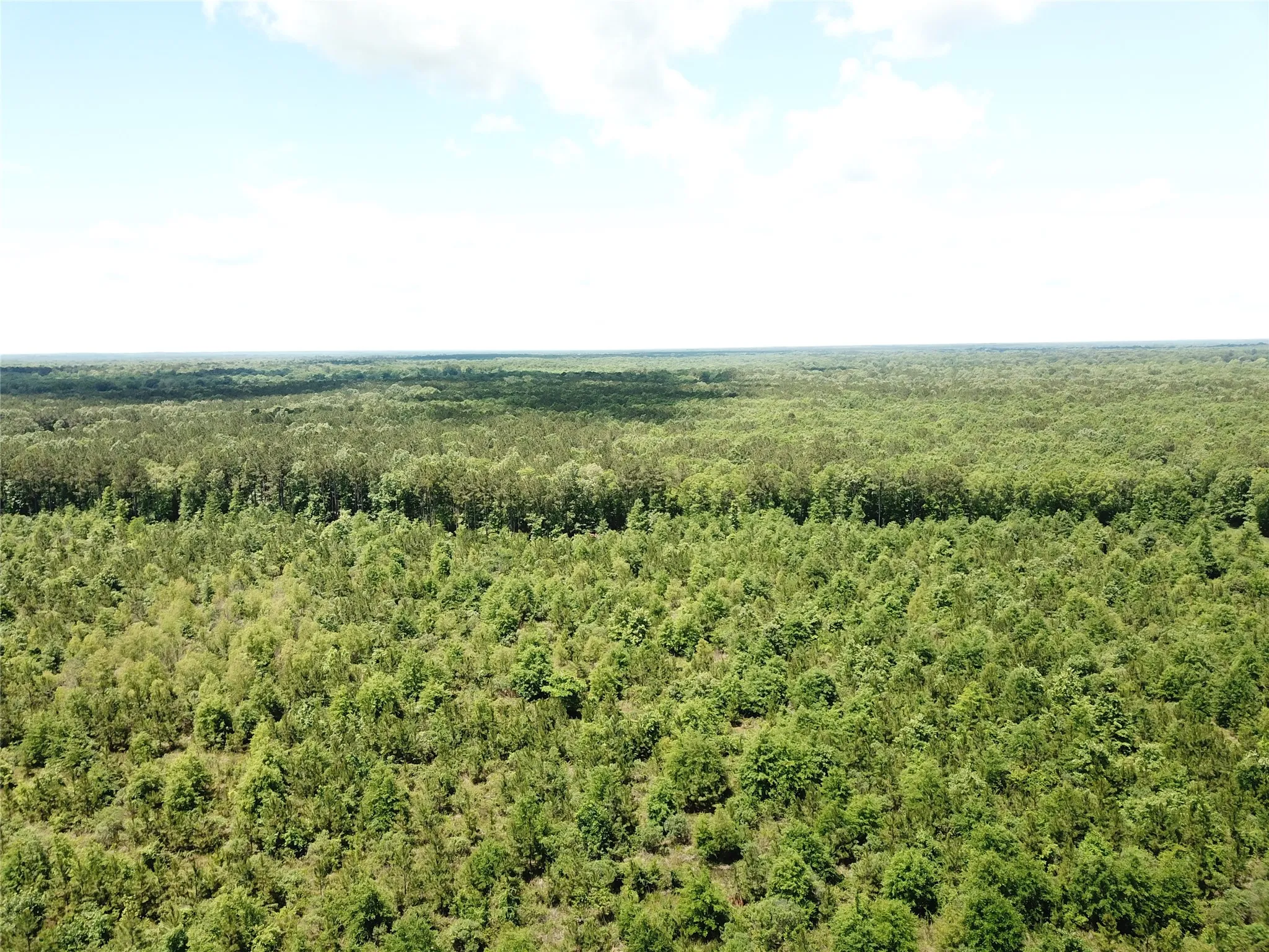 Unimproved Land For Sale in Bowie County , 00 County Road 4223, Simms, Texas 75574, 0, 0, Garage spaces, 0 Sqft, built in 0, mls#21408335, Real Estate Agent in Simms, Homes For Sale in Bowie county, Homes For Sale in Simms, Realtor in Simms Texas, Real Estate Brokerage Independent Realty Texas, Luminita Cordes Realtor