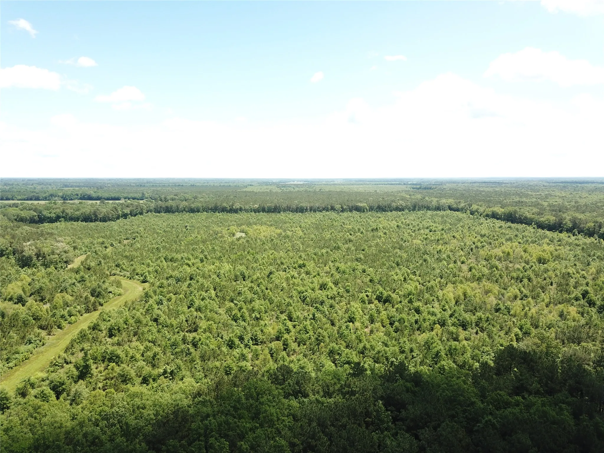 Unimproved Land For Sale in Bowie County , 00 County Road 4223, Simms, Texas 75574, 0, 0, Garage spaces, 0 Sqft, built in 0, mls#21408335, Real Estate Agent in Simms, Homes For Sale in Bowie county, Homes For Sale in Simms, Realtor in Simms Texas, Real Estate Brokerage Independent Realty Texas, Luminita Cordes Realtor